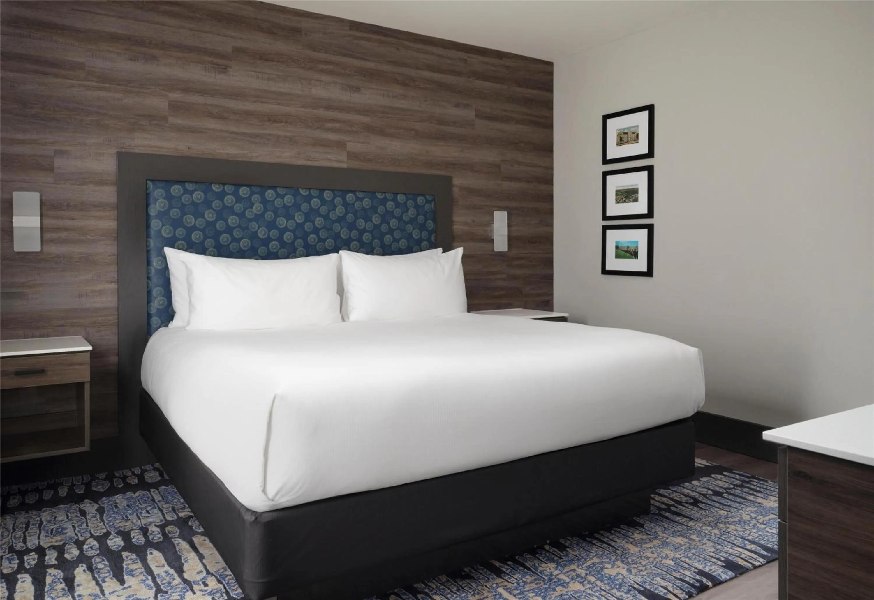 Bed in The Oread Lawrence, Tapestry Collection by Hilton