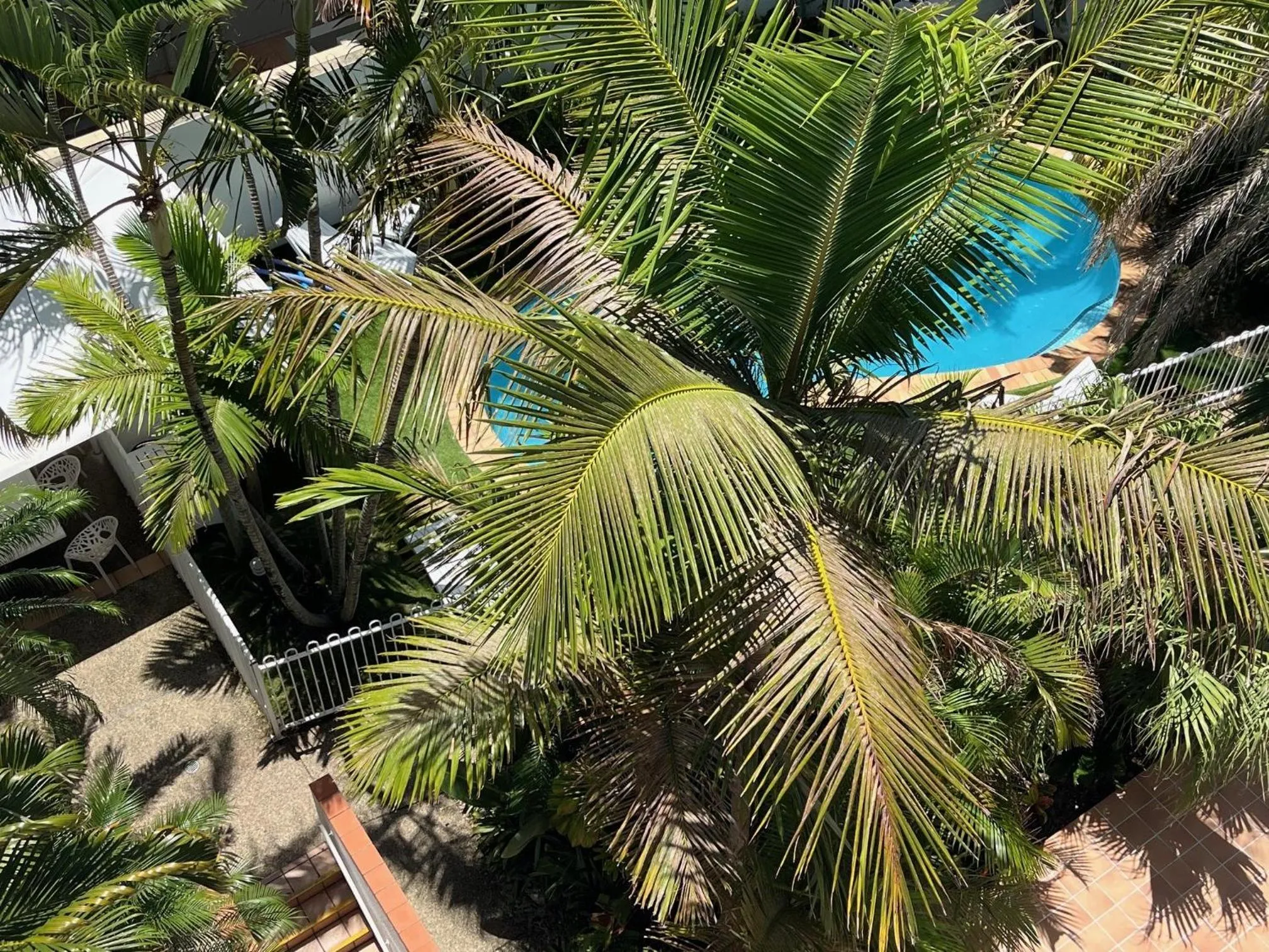 Garden view in The Burlington Holiday Apartments