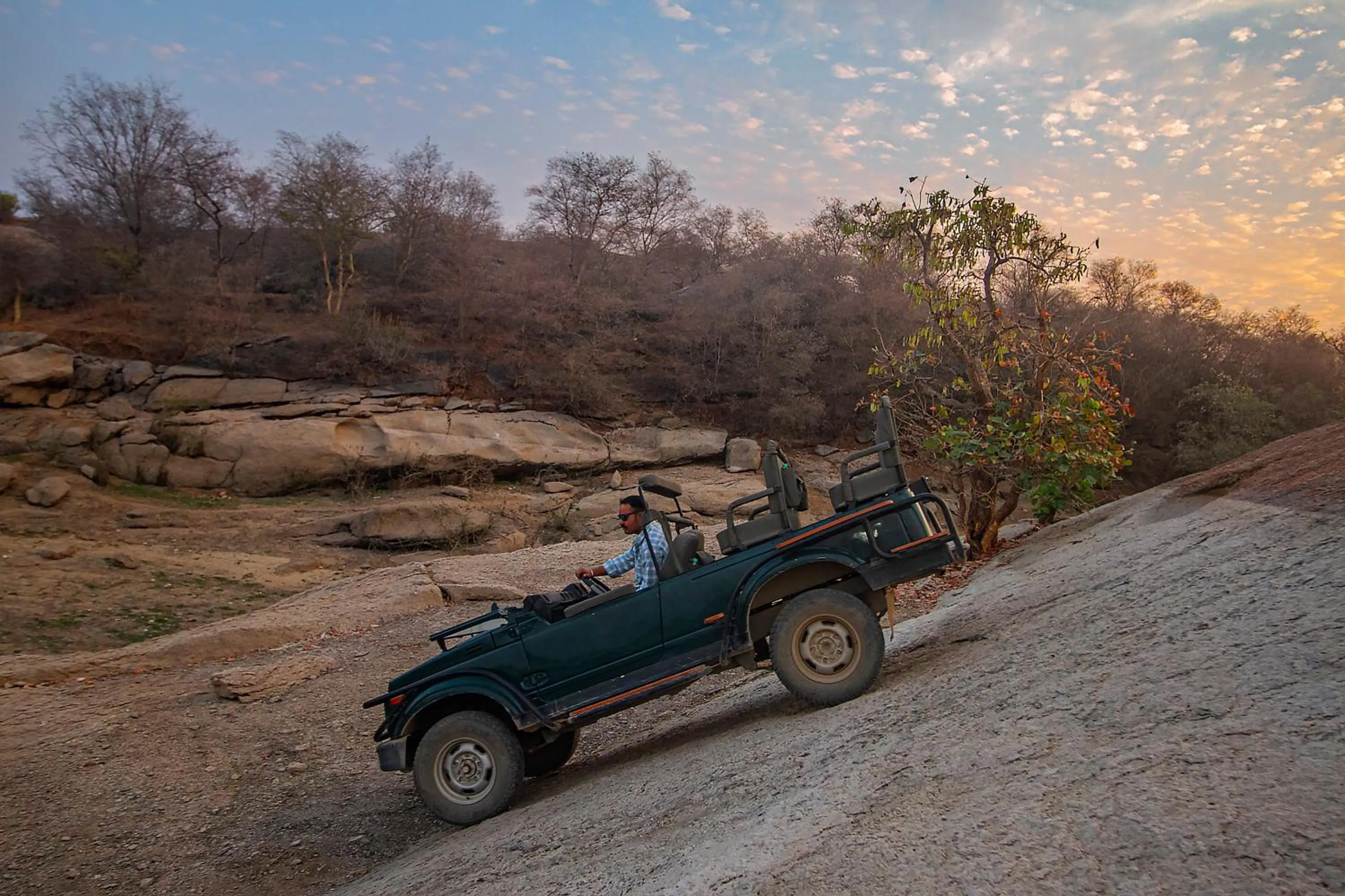 Activities in Jawai Resort