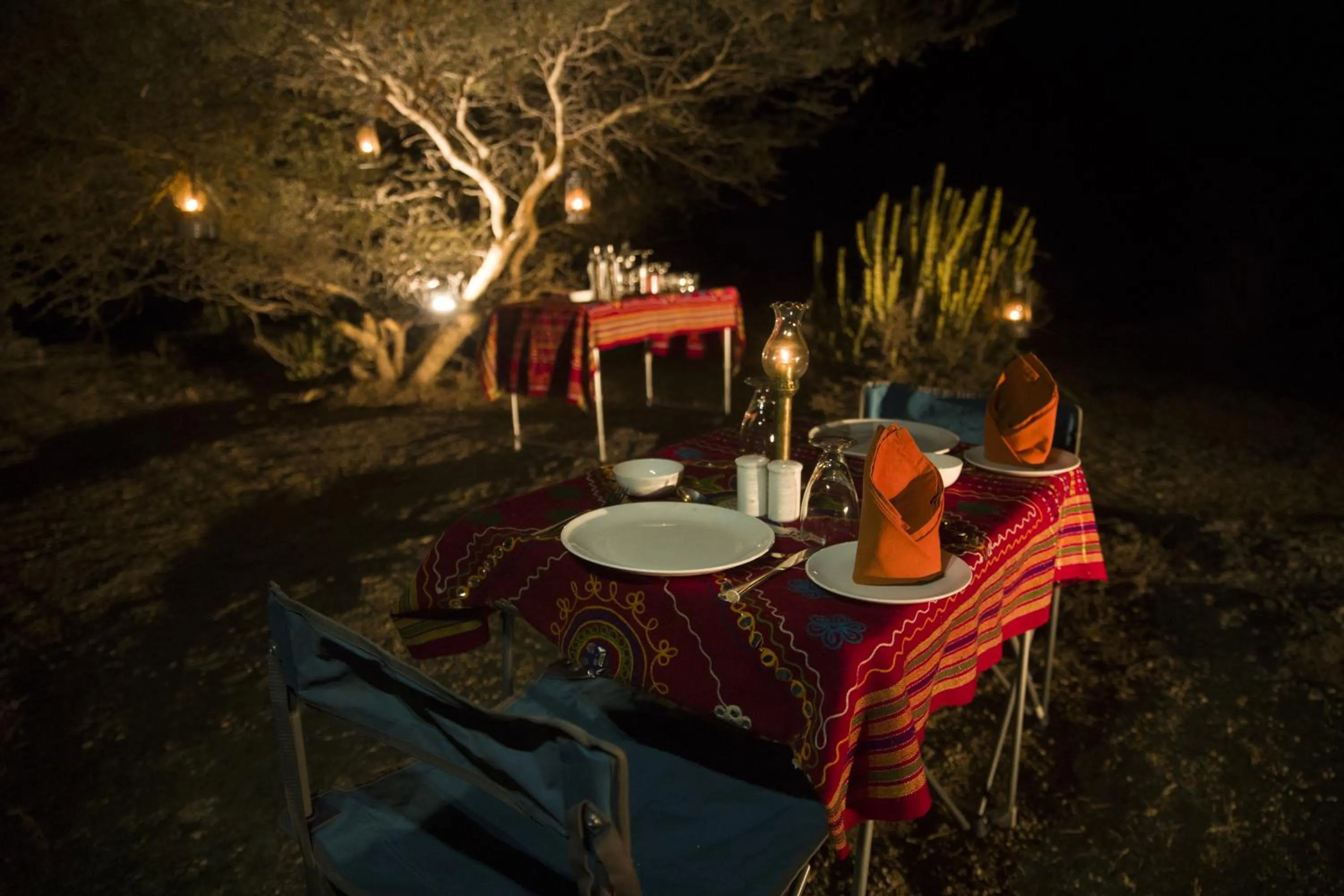 Dinner in Jawai Resort