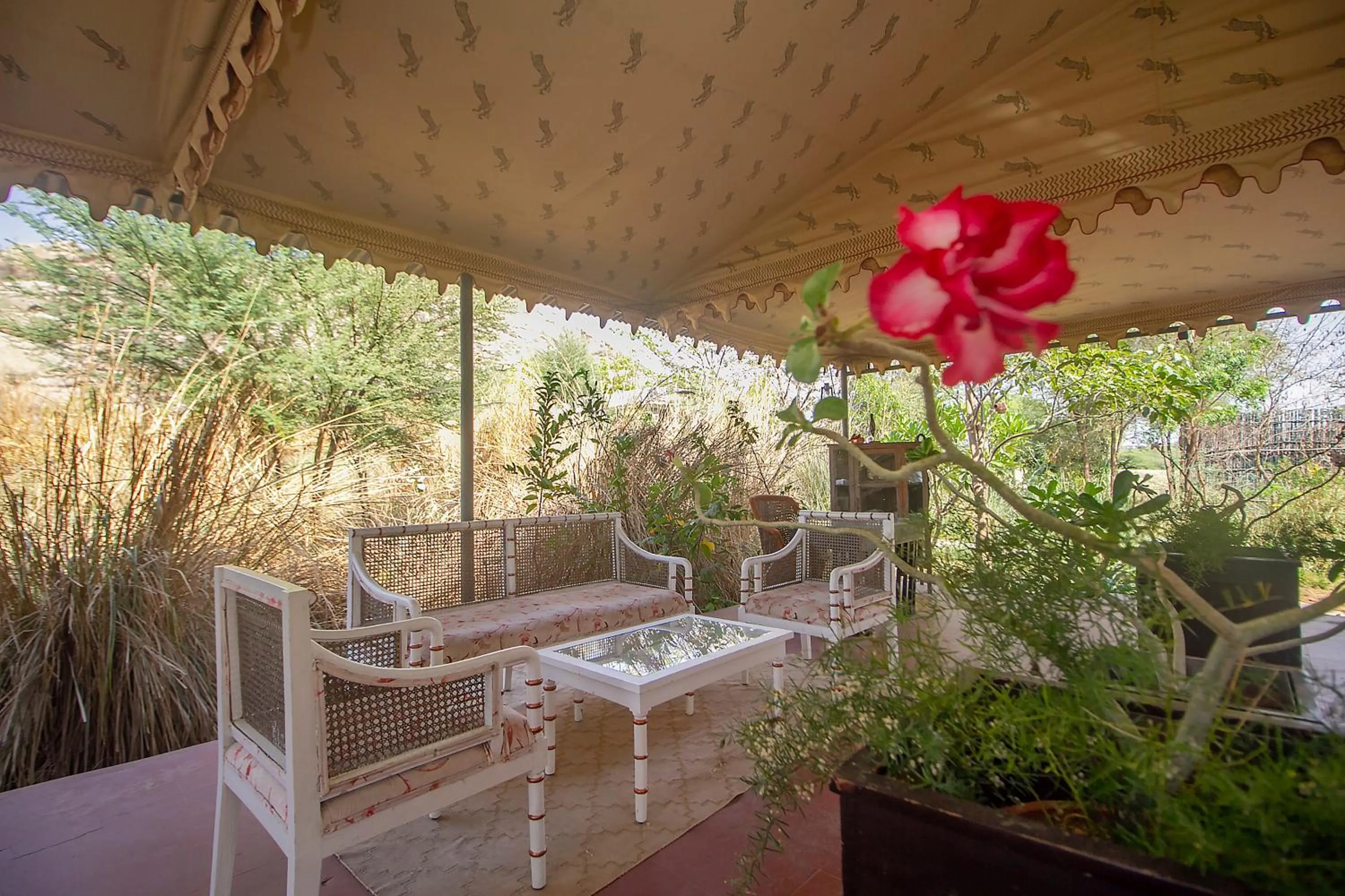 Lobby or reception in Jawai Resort