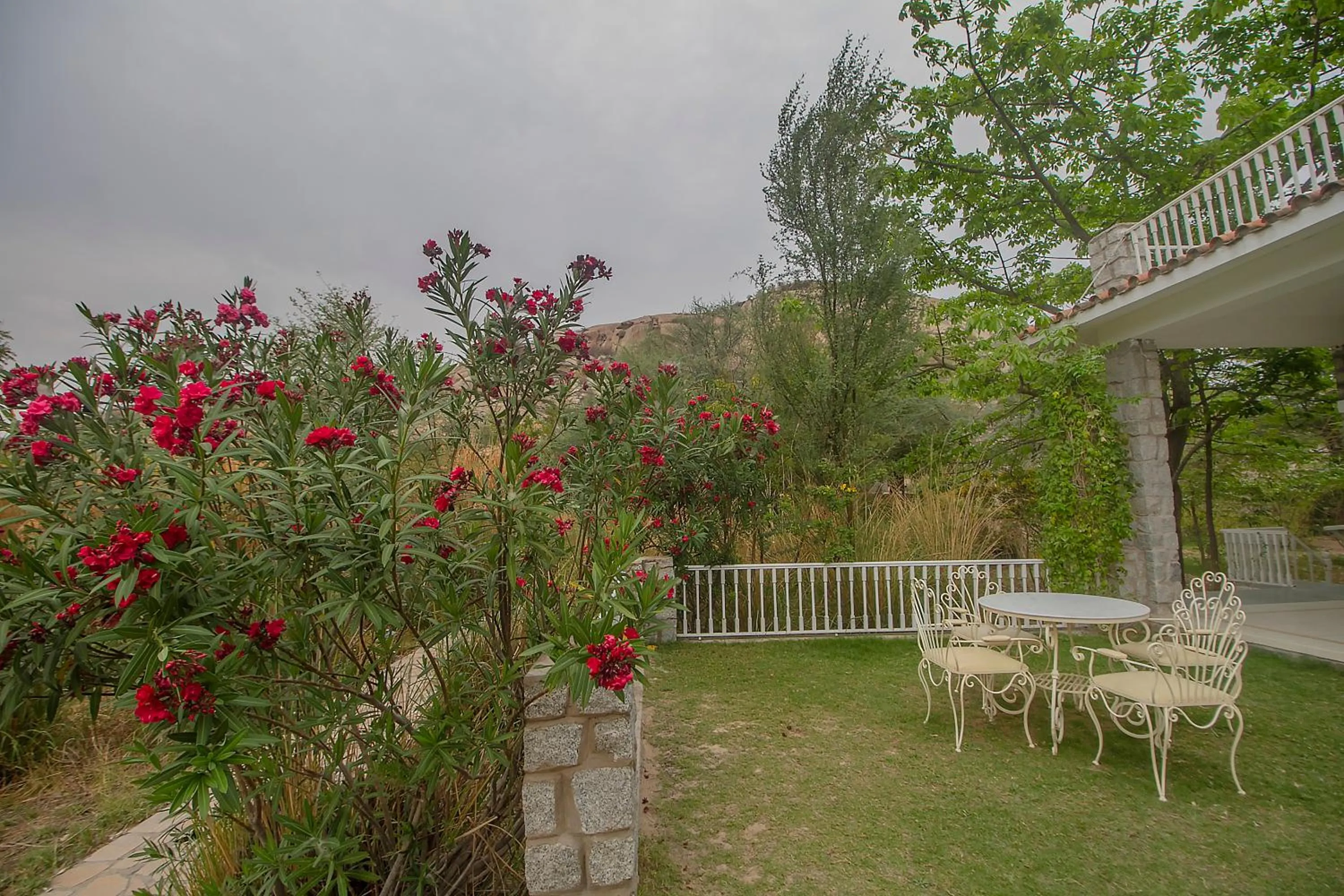 Garden in Jawai Resort