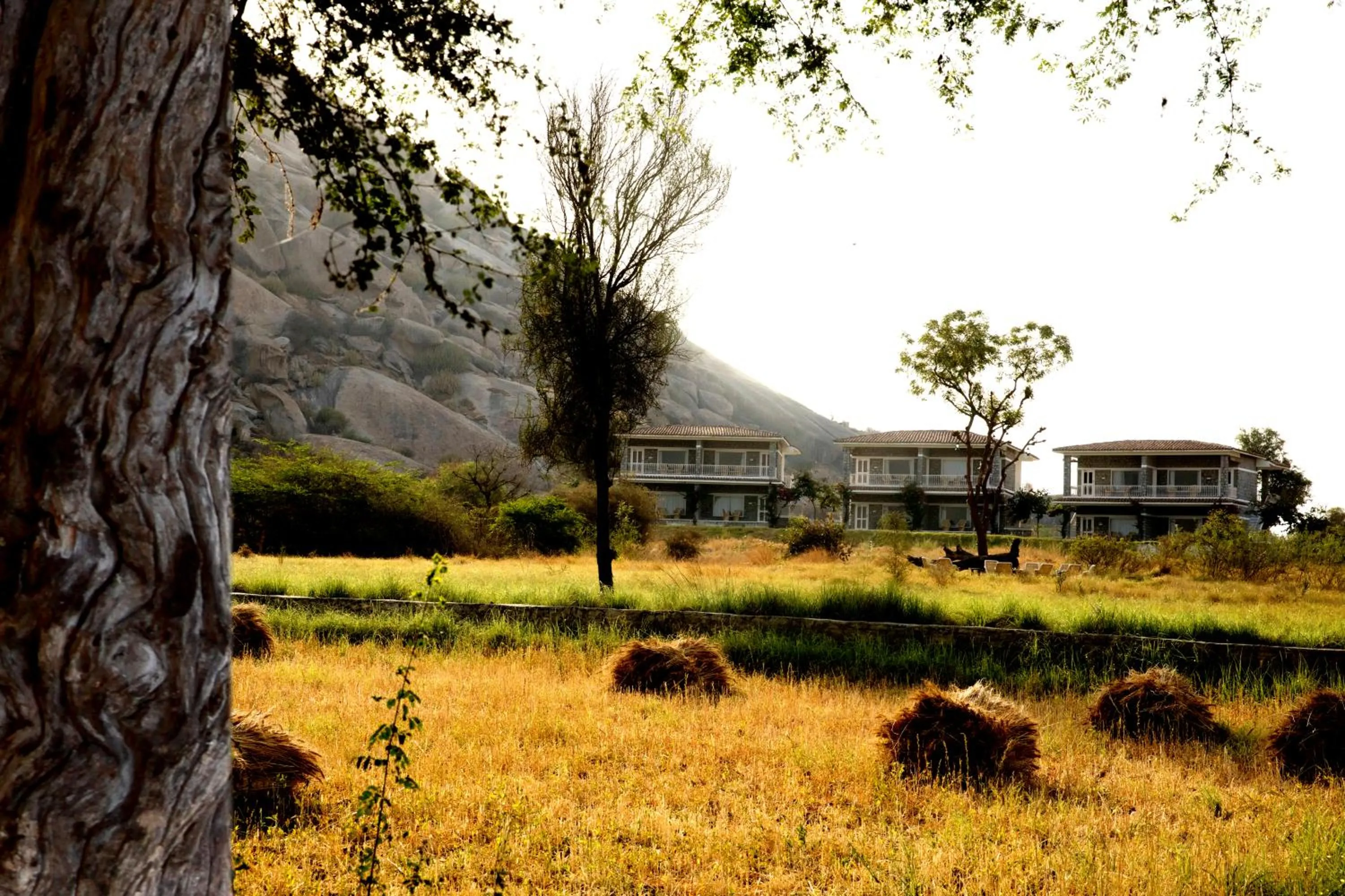 Property building in Jawai Resort