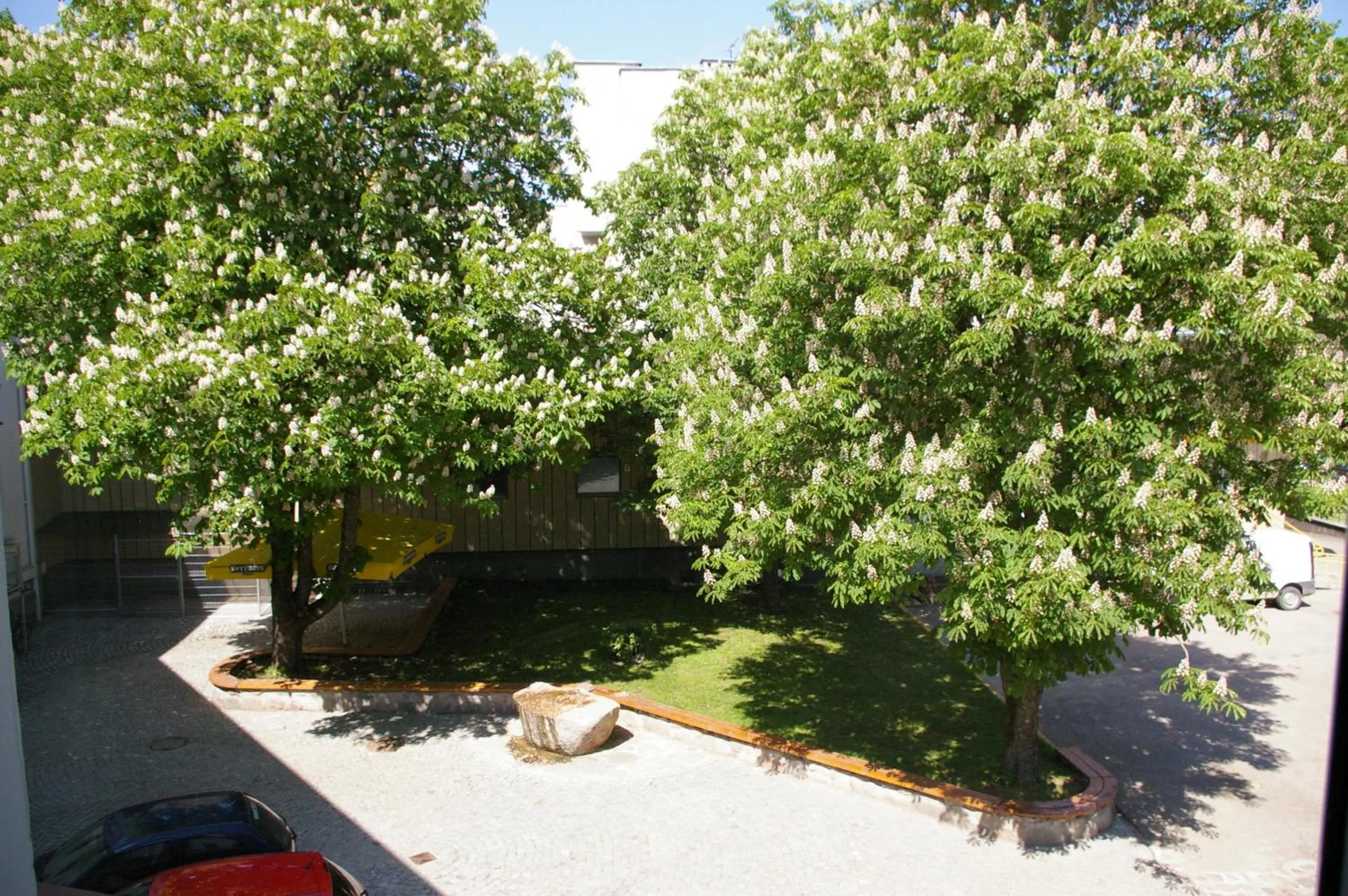 View (from property/room) in Guest House Senasis Pastas