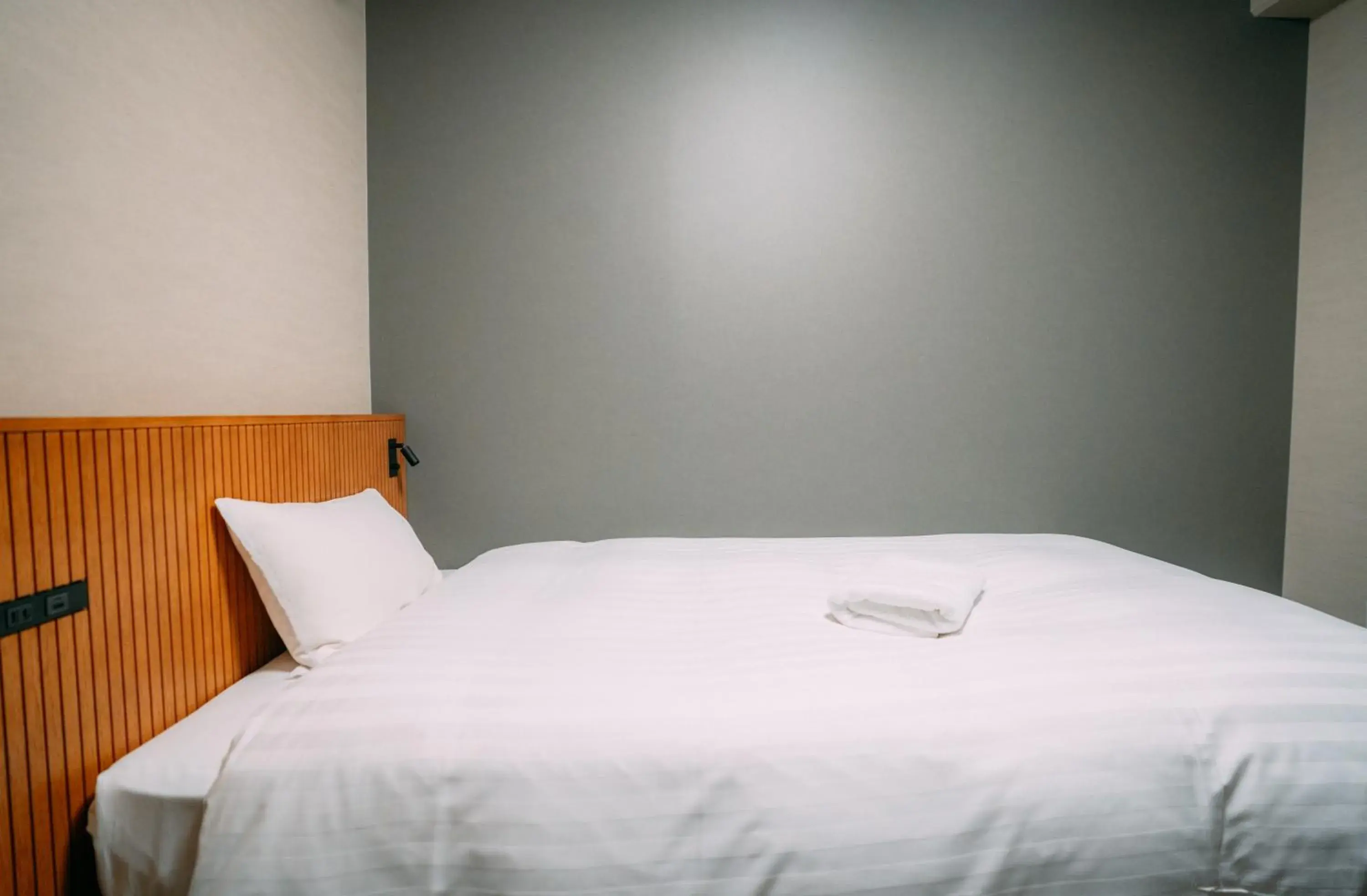 Single room- Smoking - single occupancy in 3s HOTEL ATSUGI Single room- Smoking - single occupancy in 3s HOTEL ATSUGI