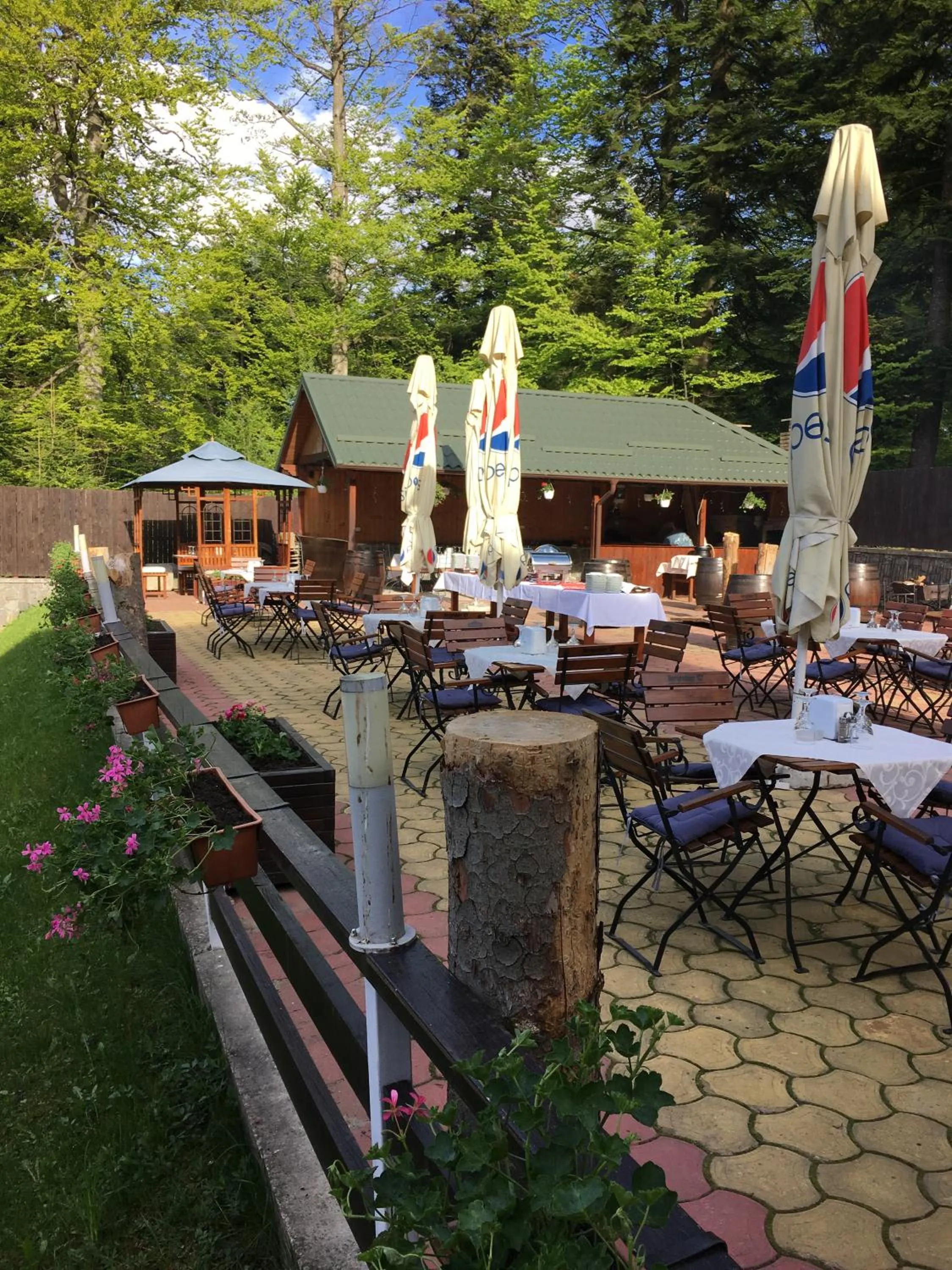 Balcony/Terrace in Casa Iris-Hotel & Restaurant