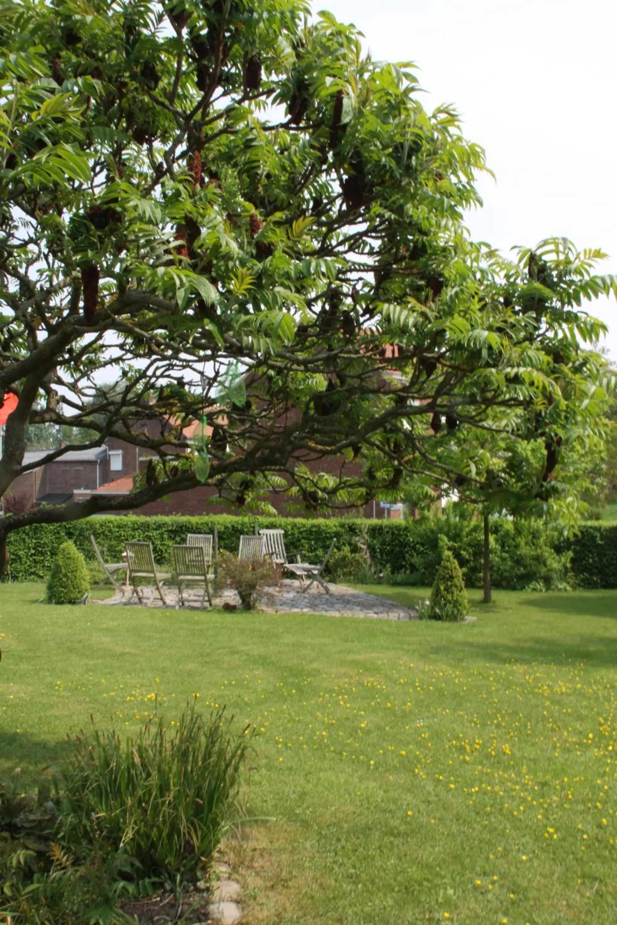 Garden in Het Pachthof