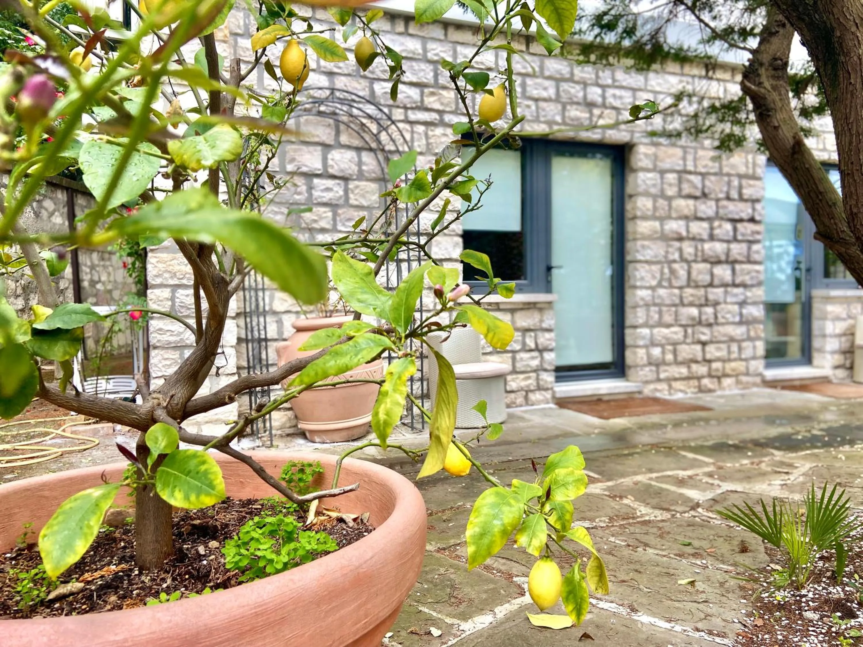 Le due palme Bed & Breakfast