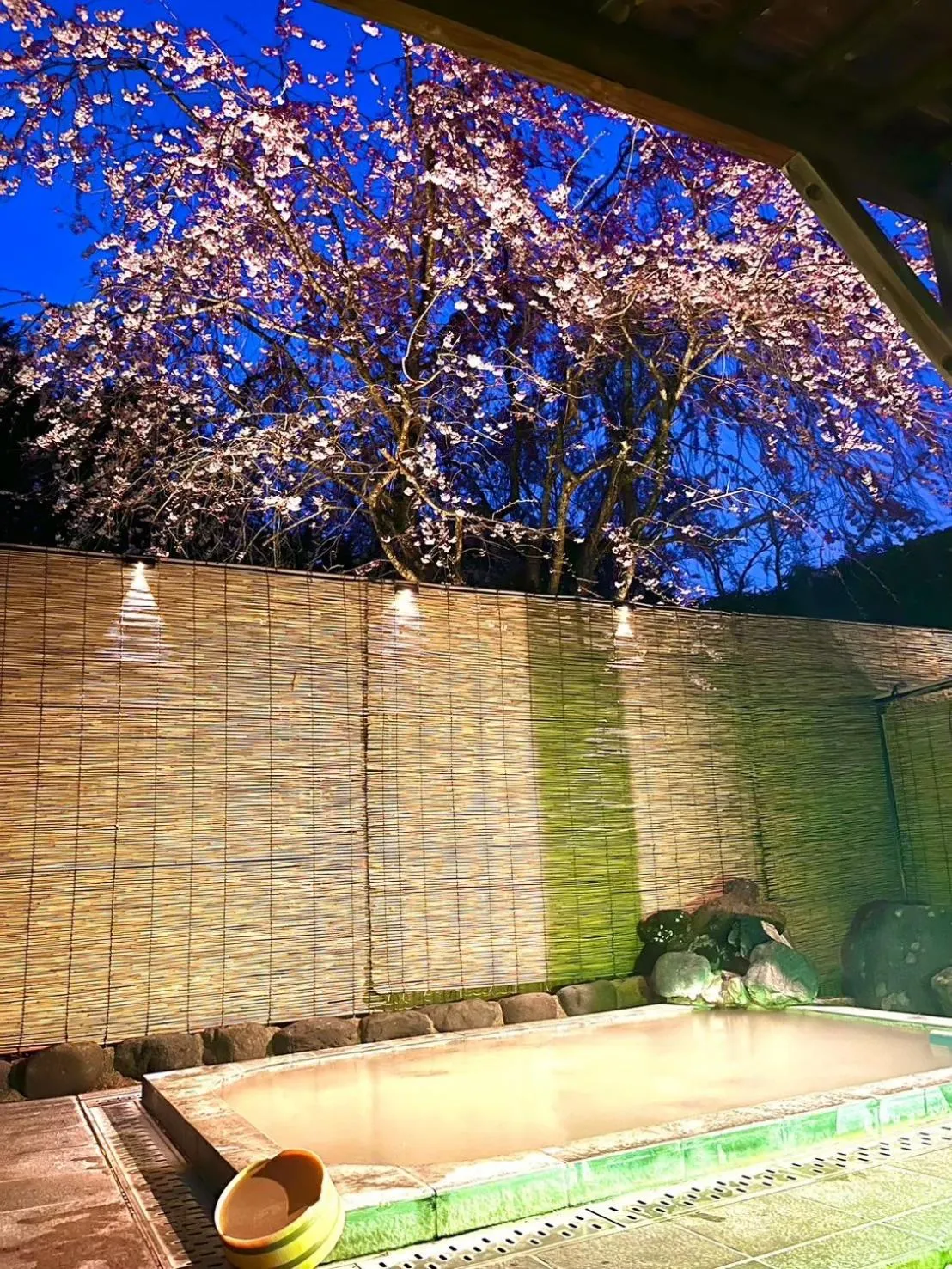 Hot Spring Bath in Fuji-Hakone Guest House