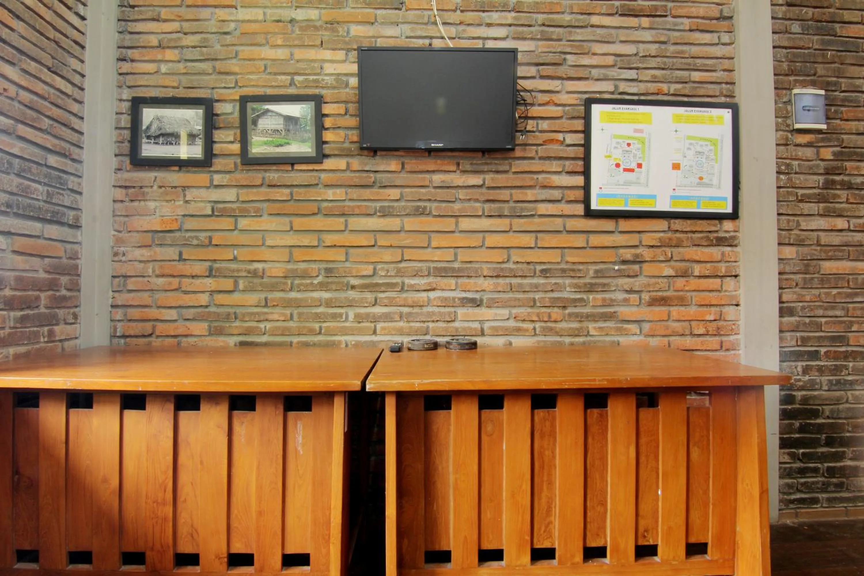 TV and multimedia in Disaster Oasis