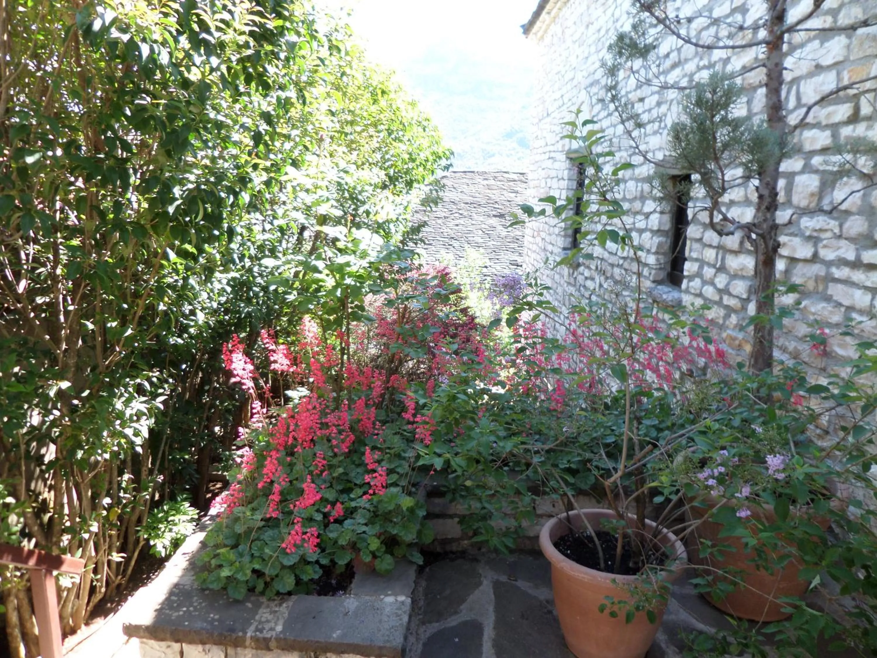 Spring in Arhontiko Aristis