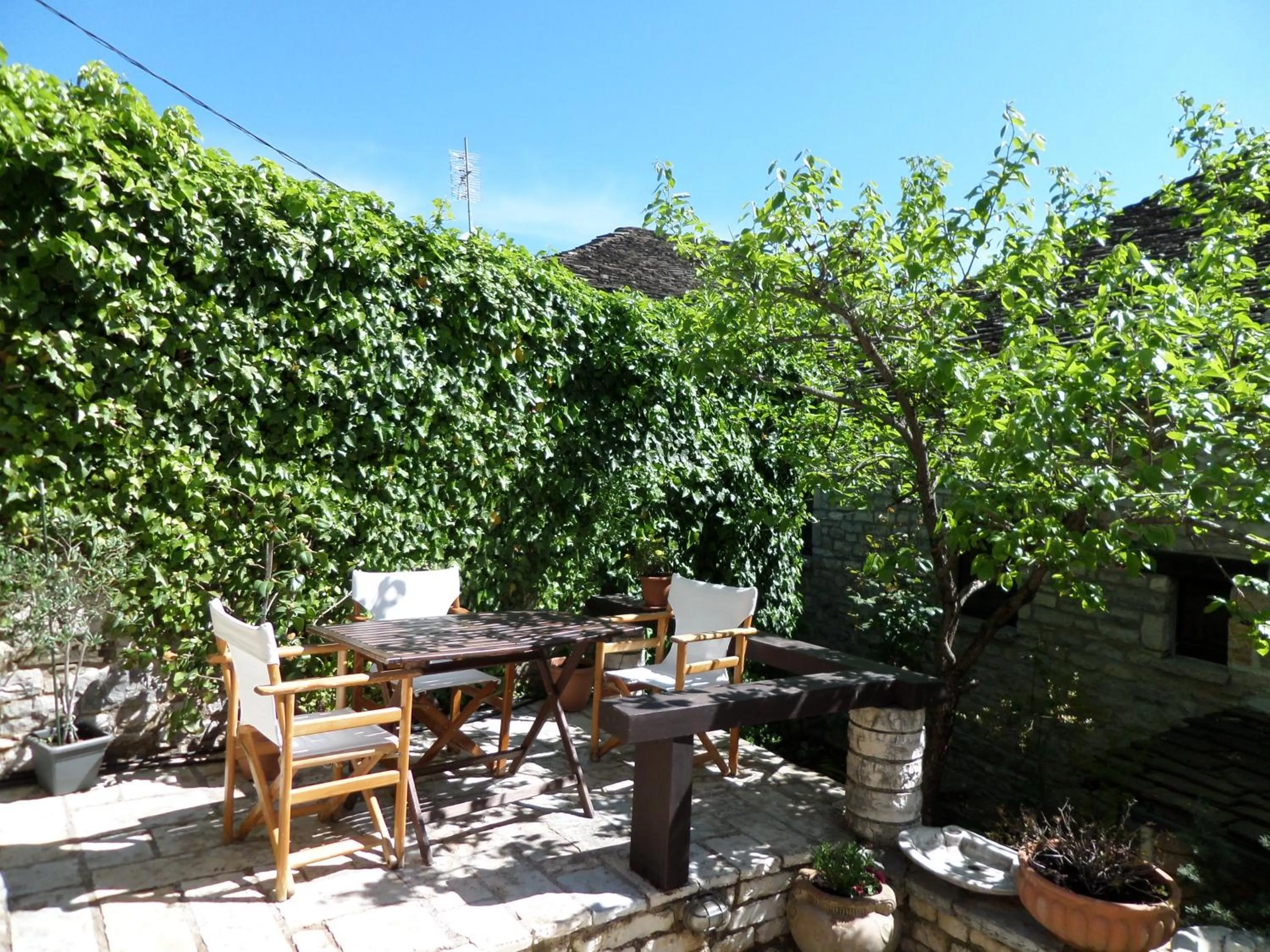 Garden in Arhontiko Aristis