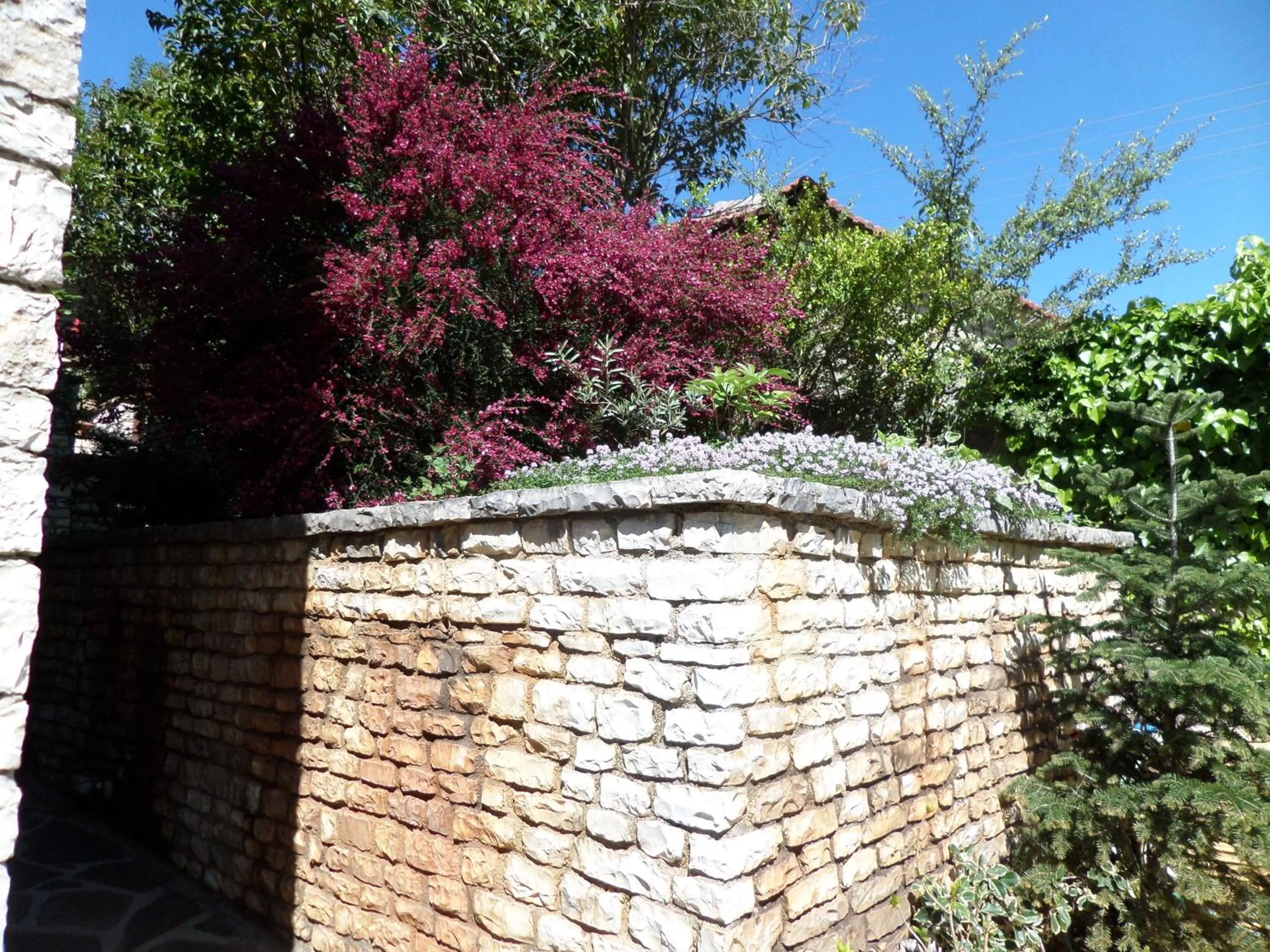 Spring in Arhontiko Aristis