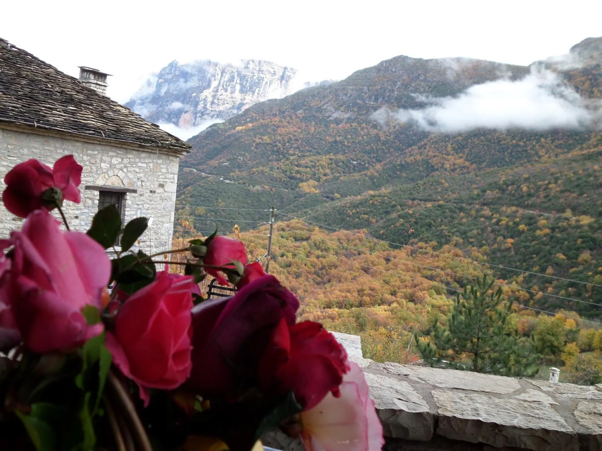 Balcony/Terrace in Arhontiko Aristis