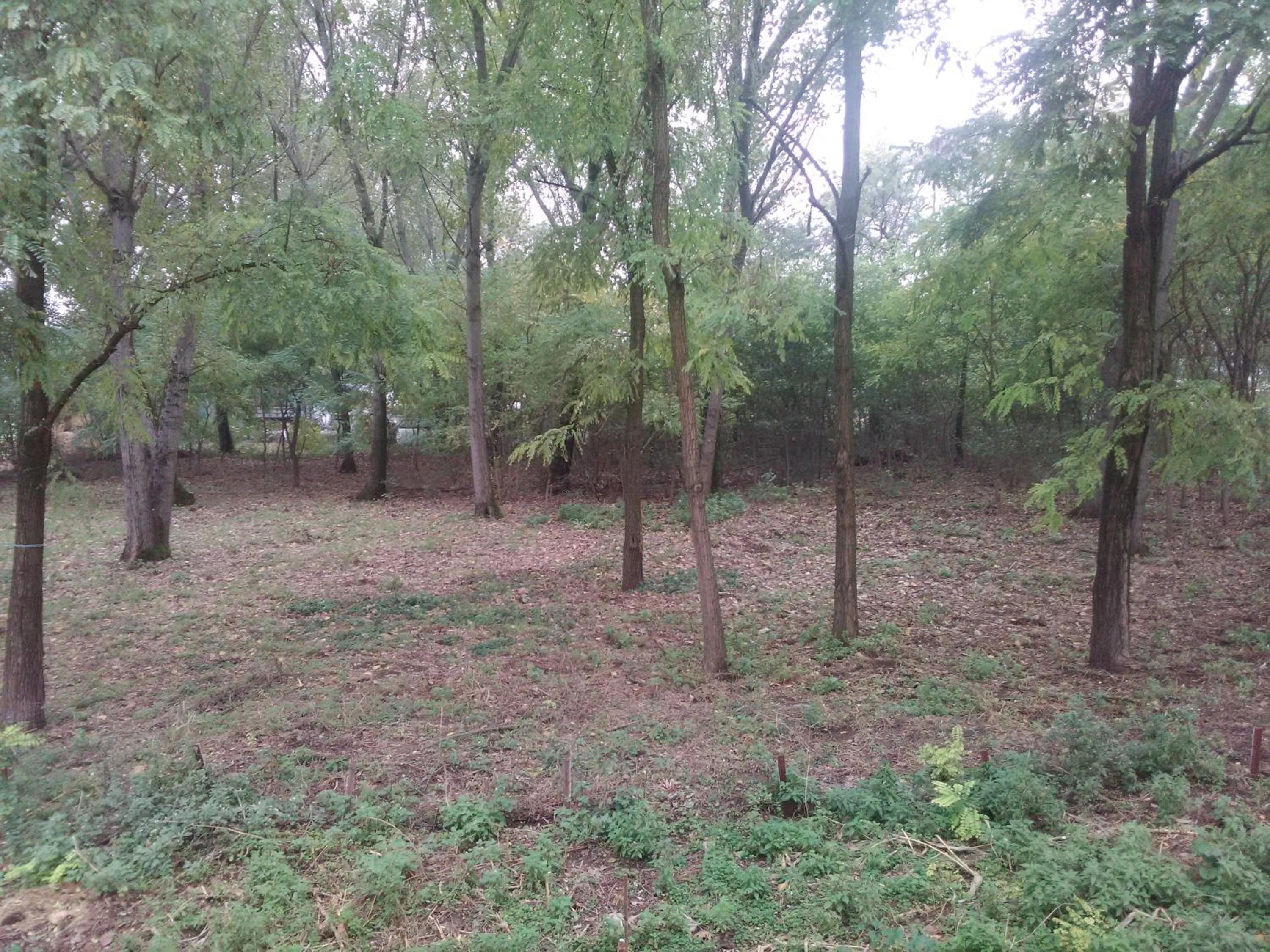 Natural landscape in NOEMI & JULIENNE