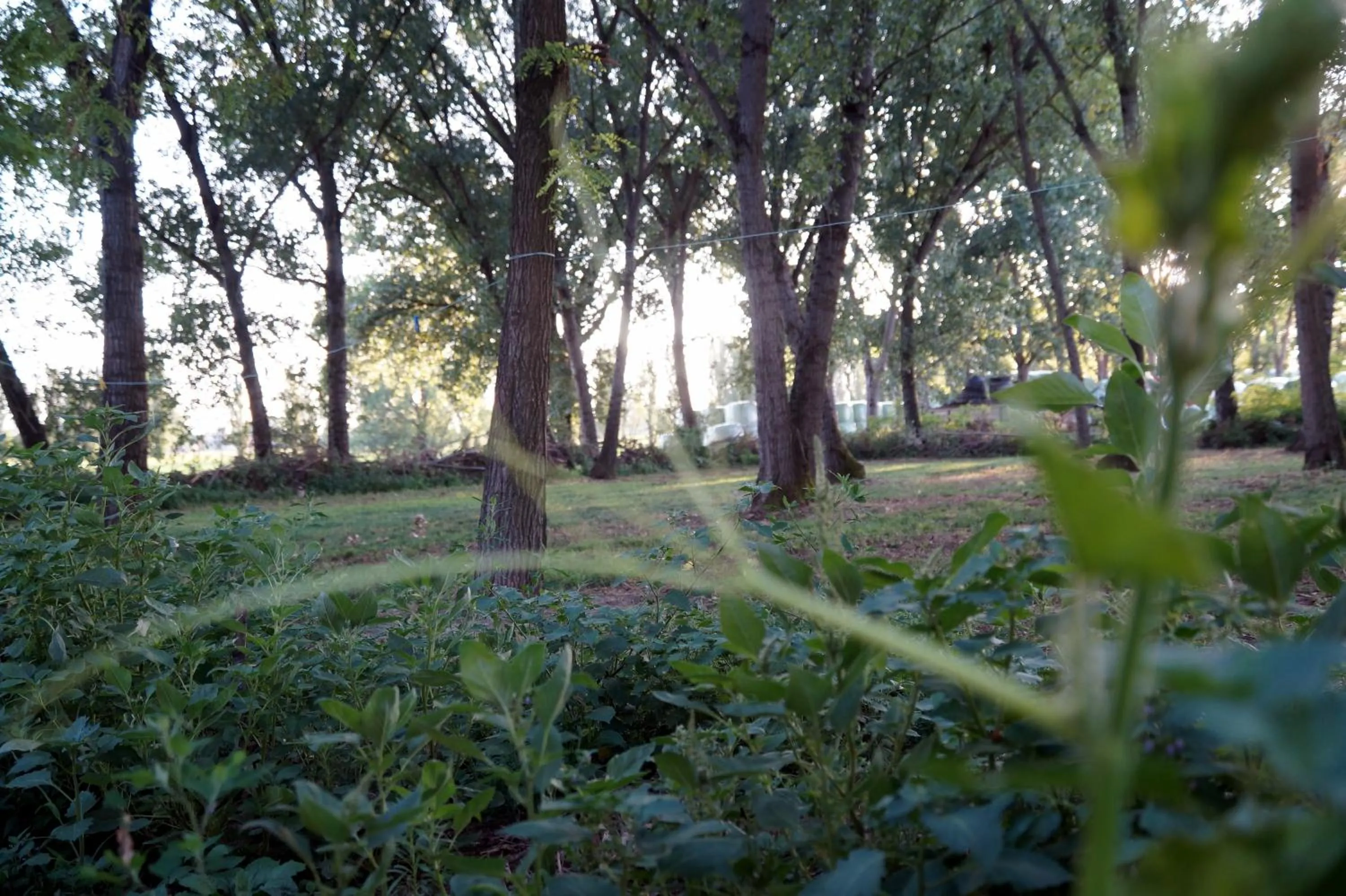 Natural landscape in NOEMI & JULIENNE