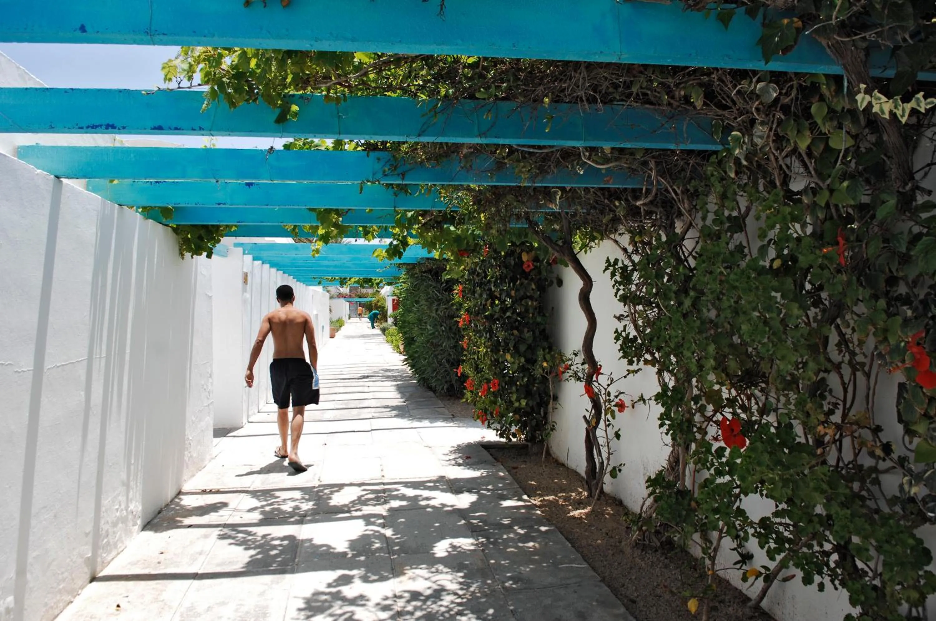 Spring in Monarque Dar Jerba Narjess- Family Only