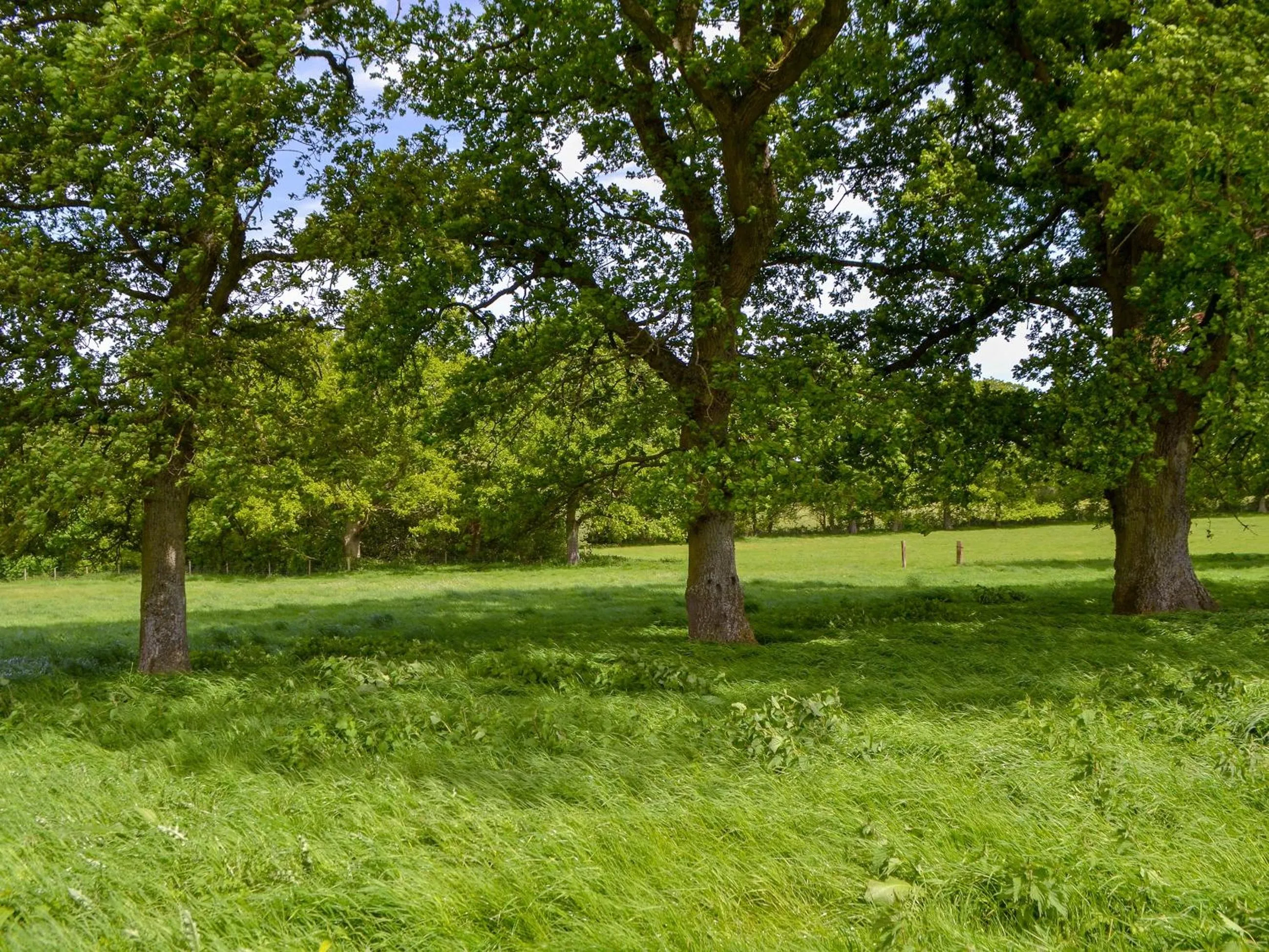 Property building in Woodlands Dairy Cottage