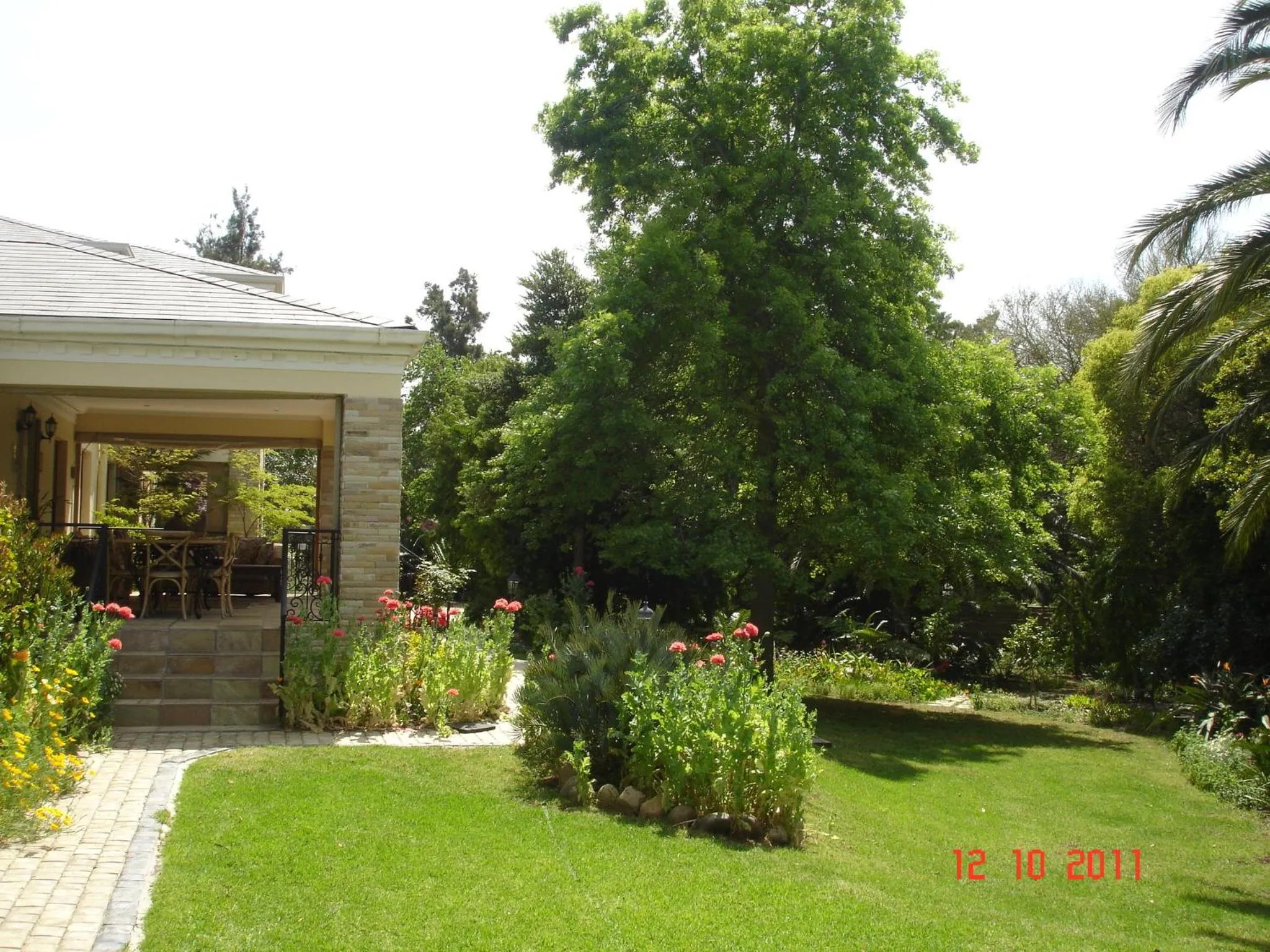 Garden view in Blaauwheim Guest House