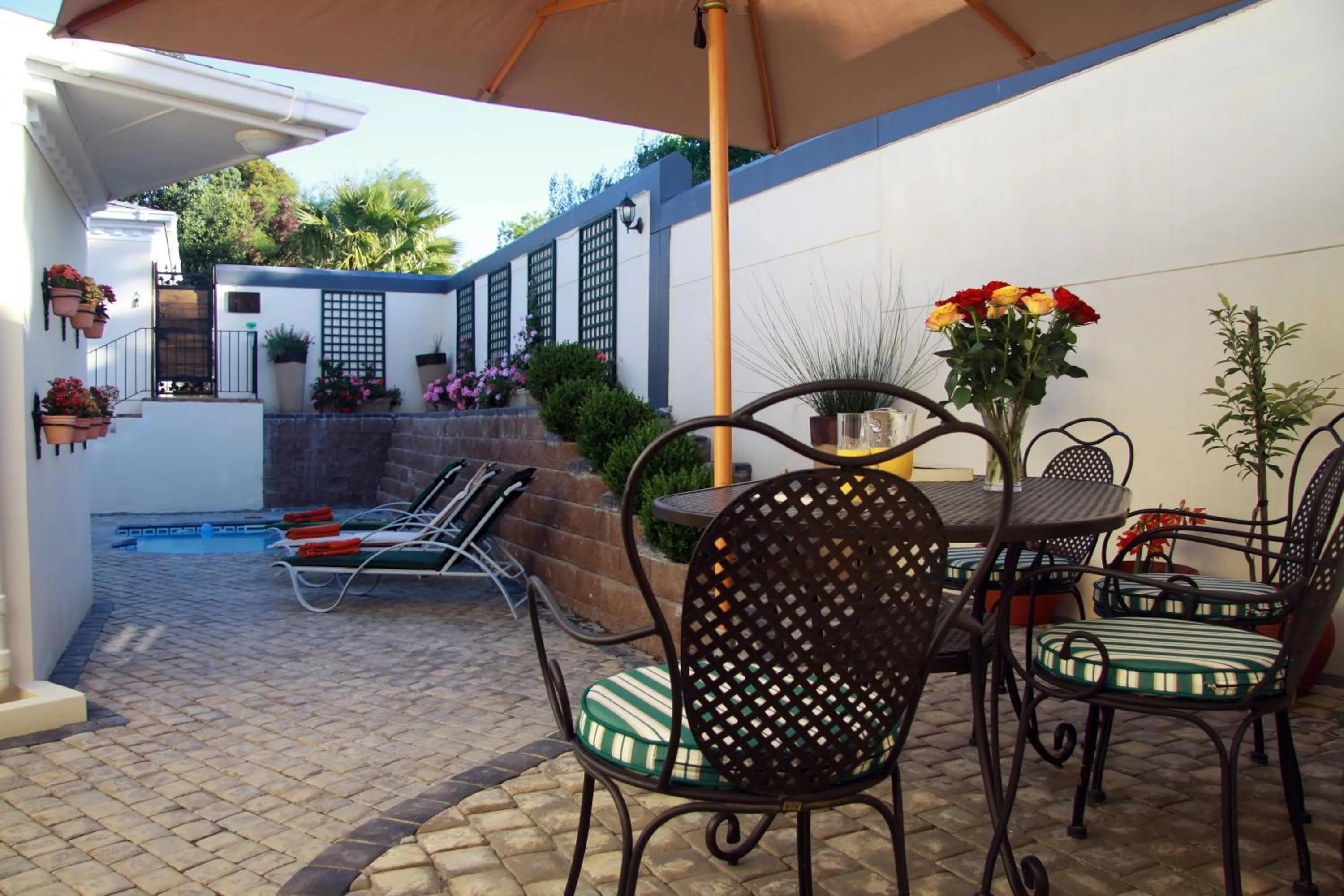 Area and facilities in Blaauwheim Guest House