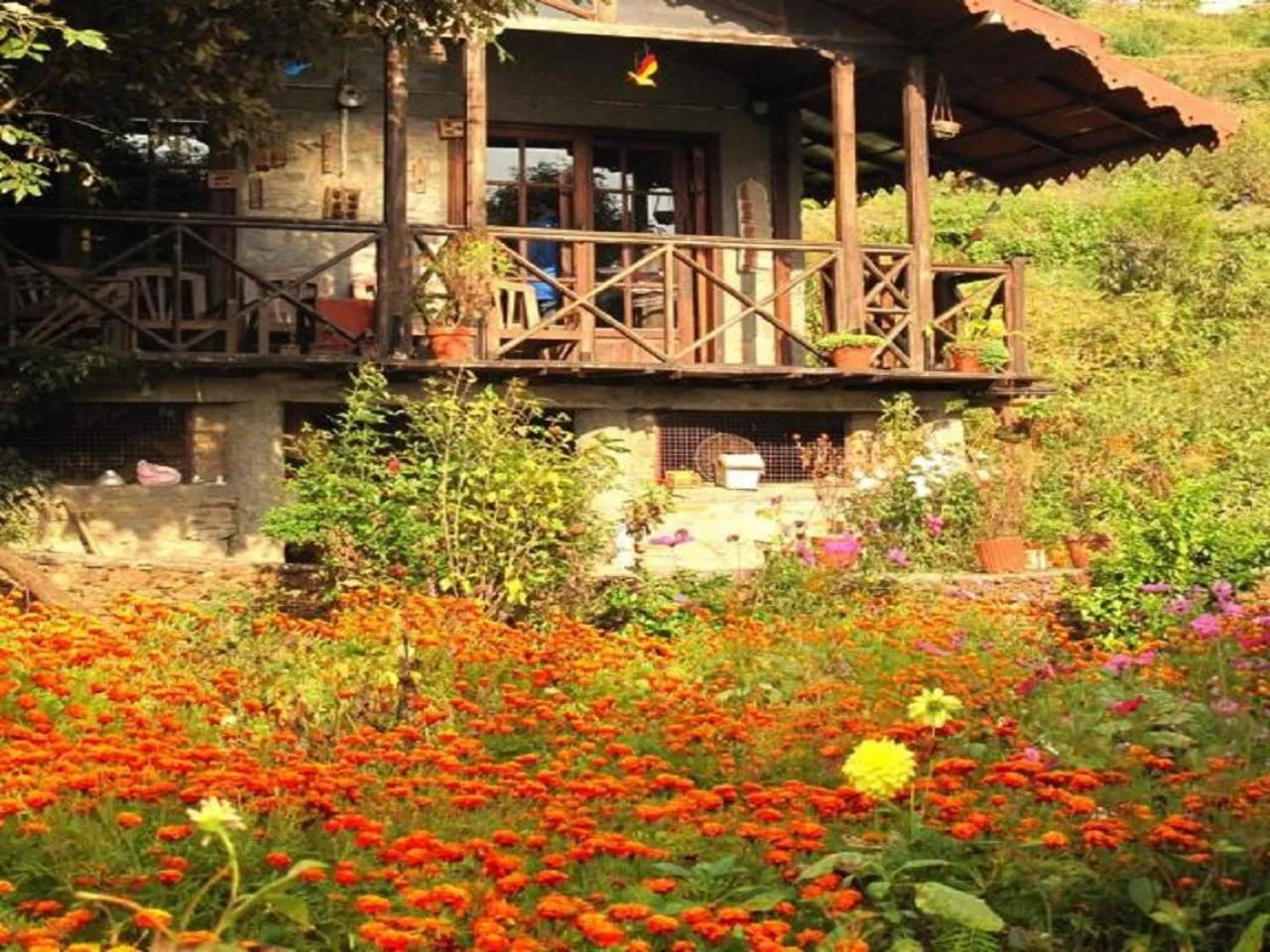 Property building in Jungle Lore Birding Lodge