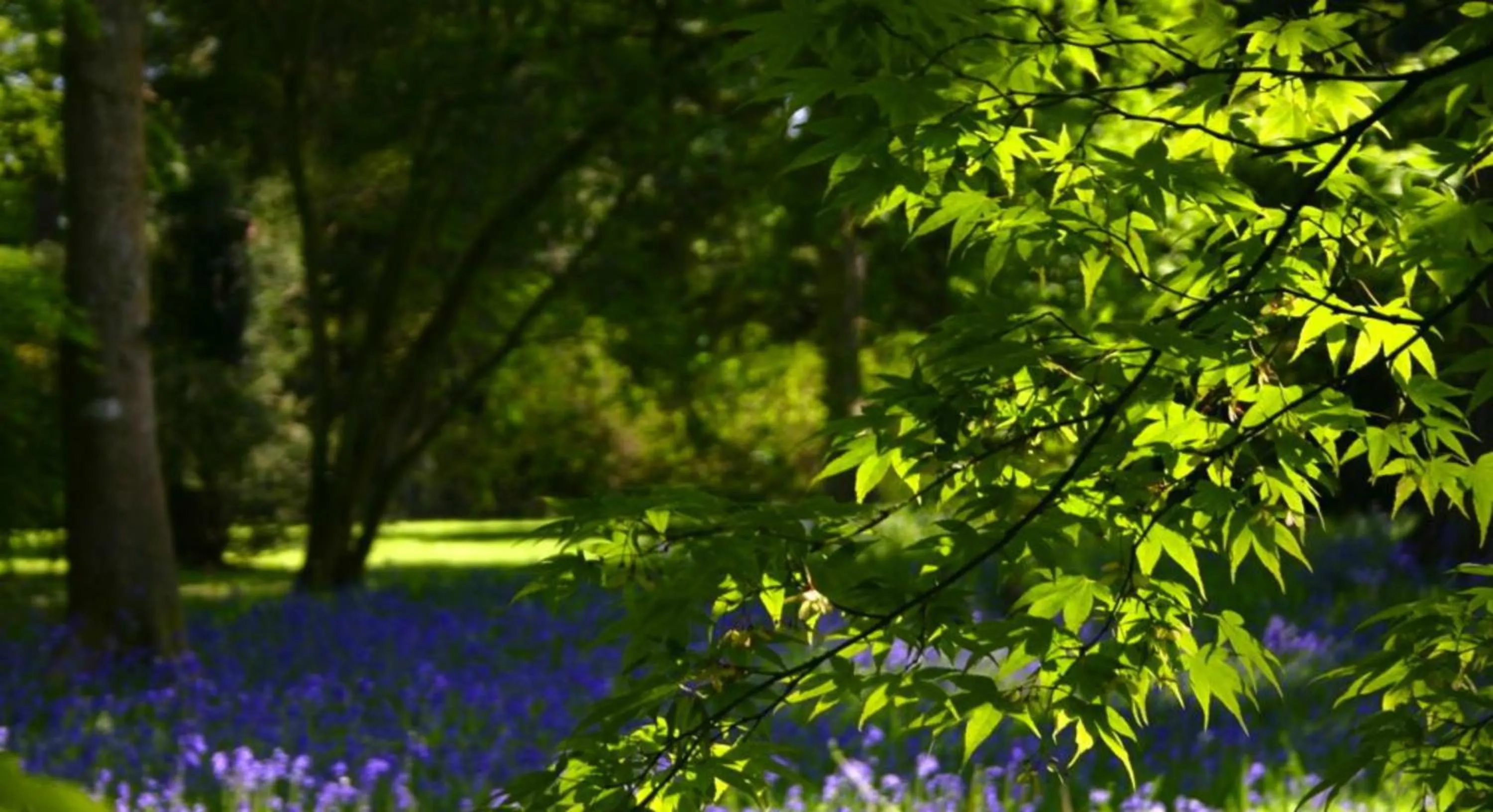 Property building in Holiday Inn Bristol Filton by IHG