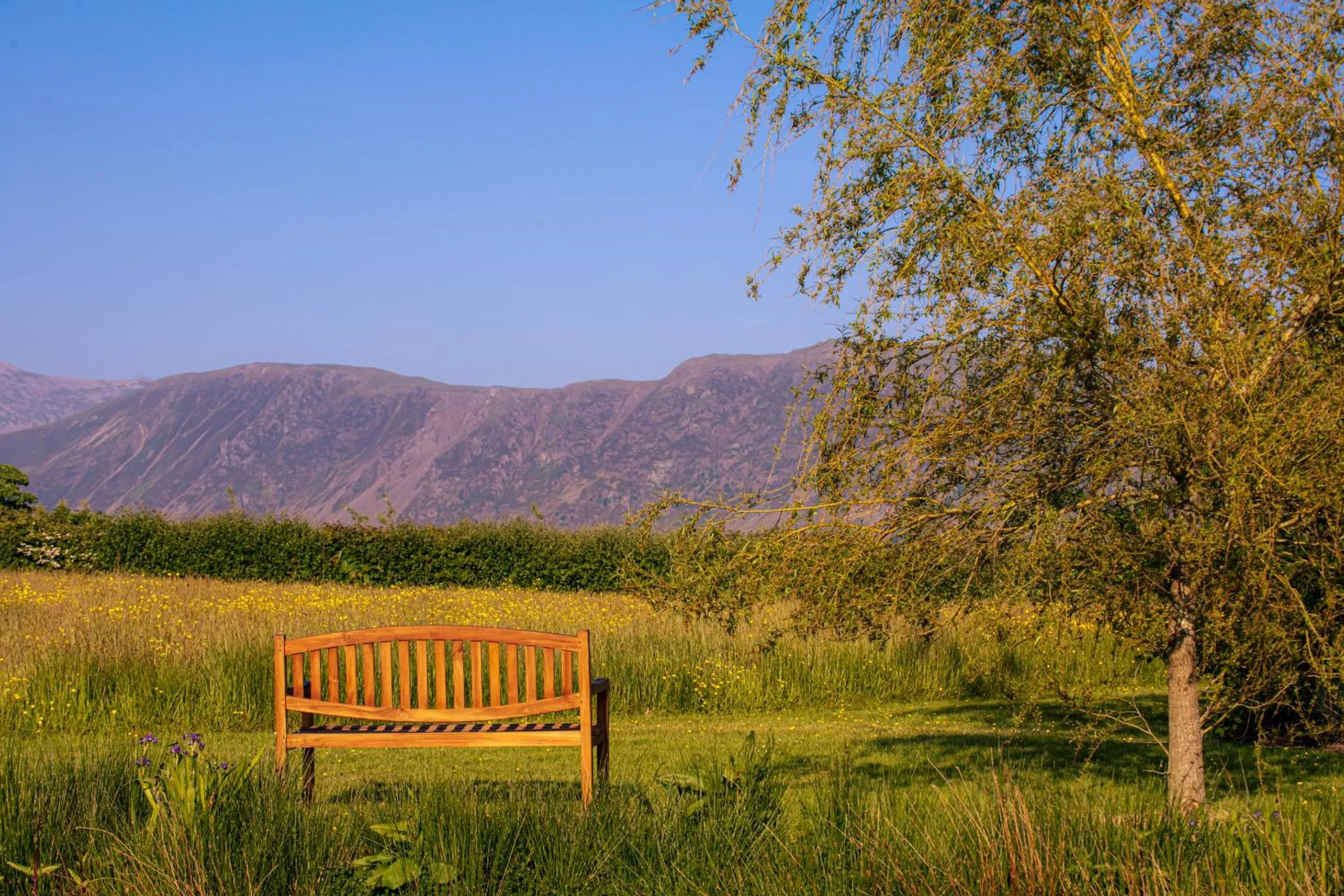 View (from property/room) in 1692 Wasdale
