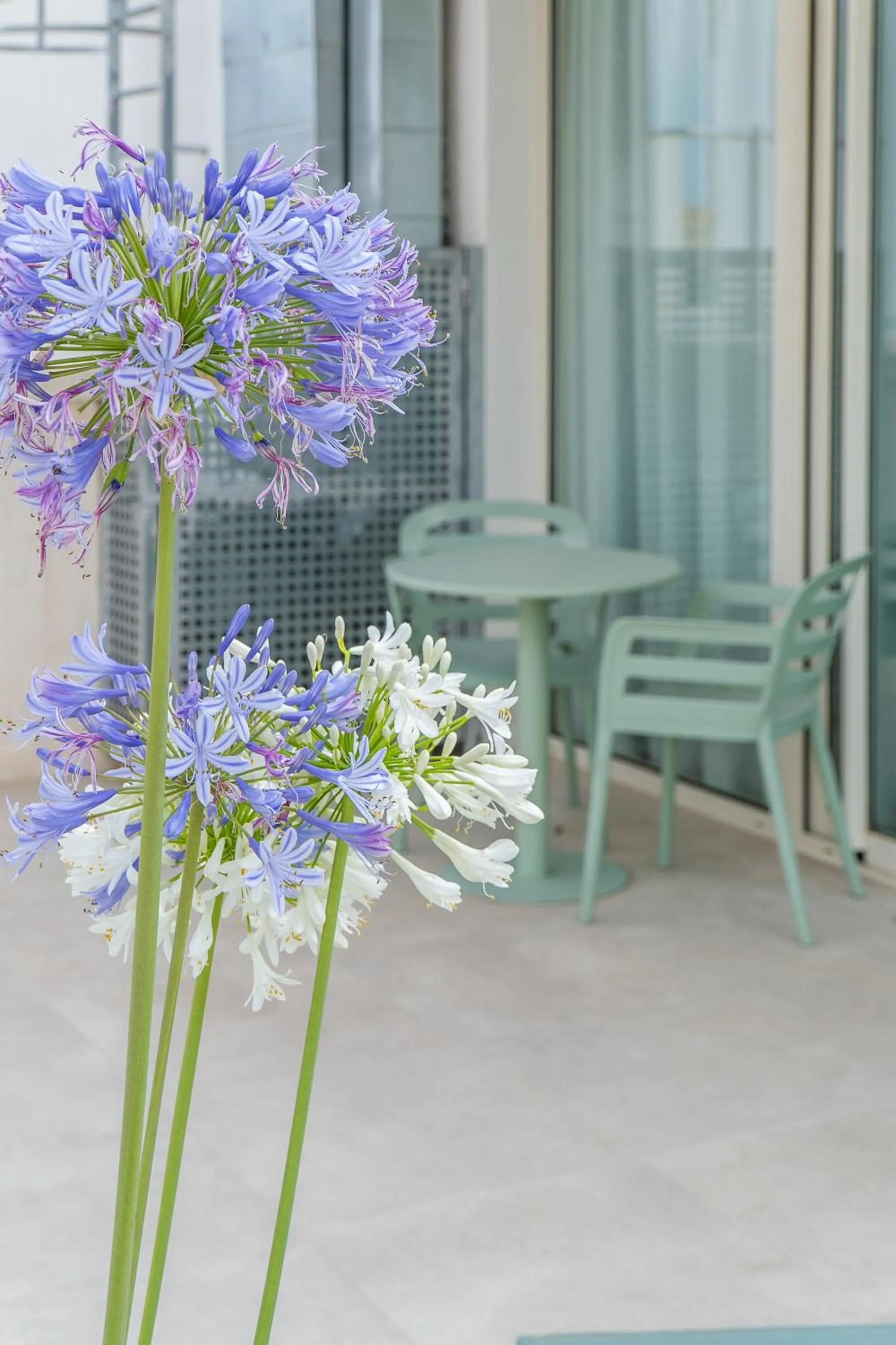 Balcony/Terrace in Teide Rooms