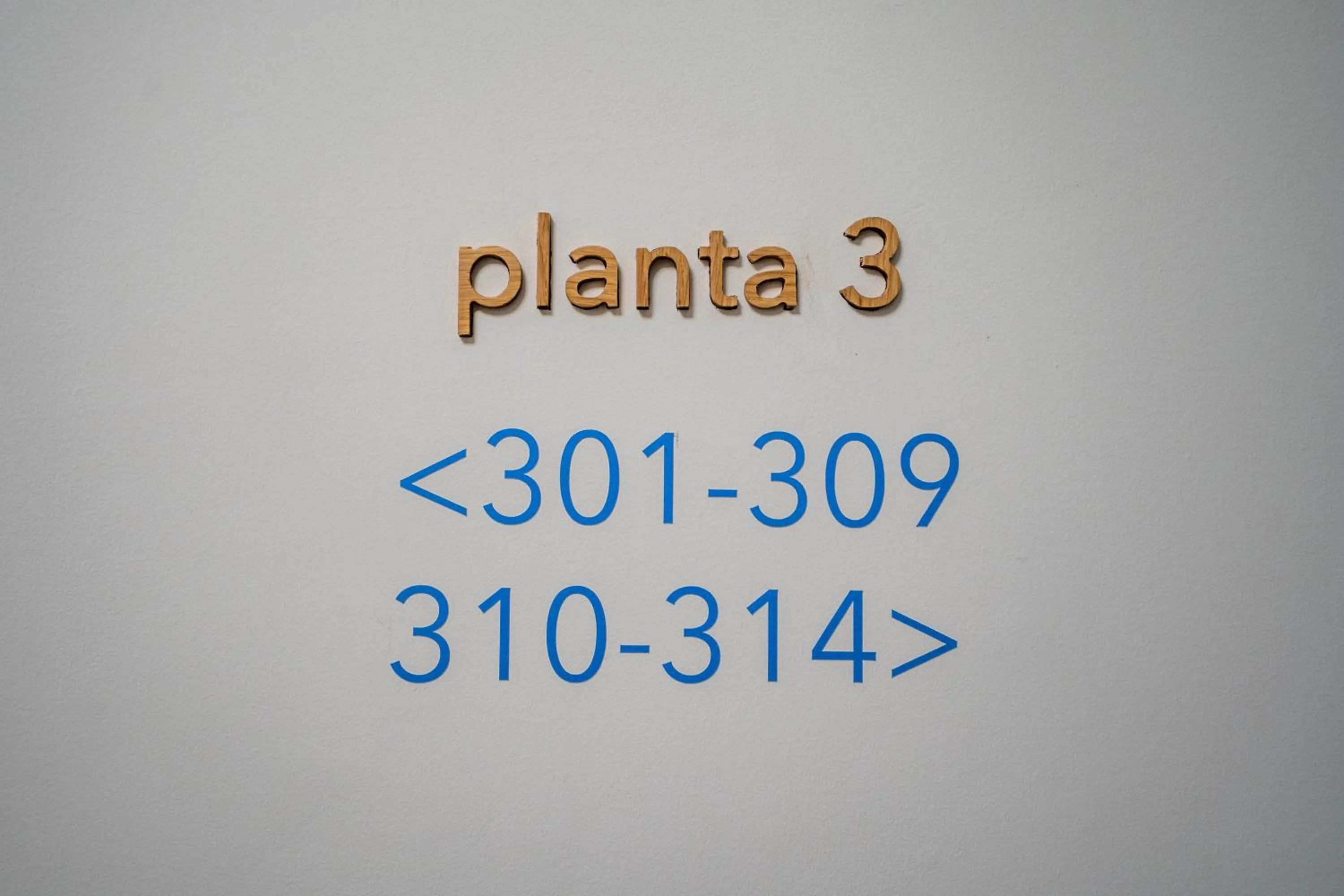 Decorative detail in Teide Rooms