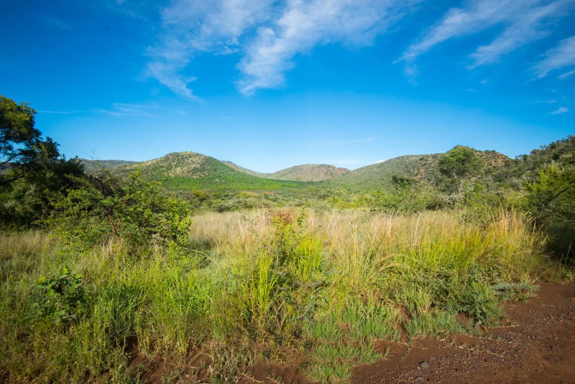 Natural landscape in Lush Private Game Lodge