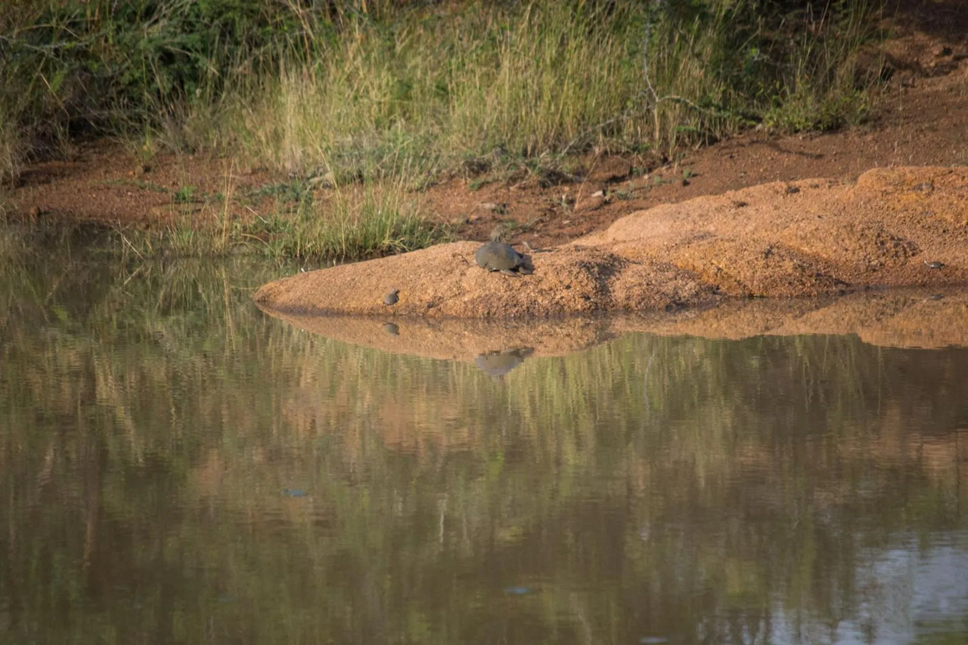 Natural landscape in Lush Private Game Lodge