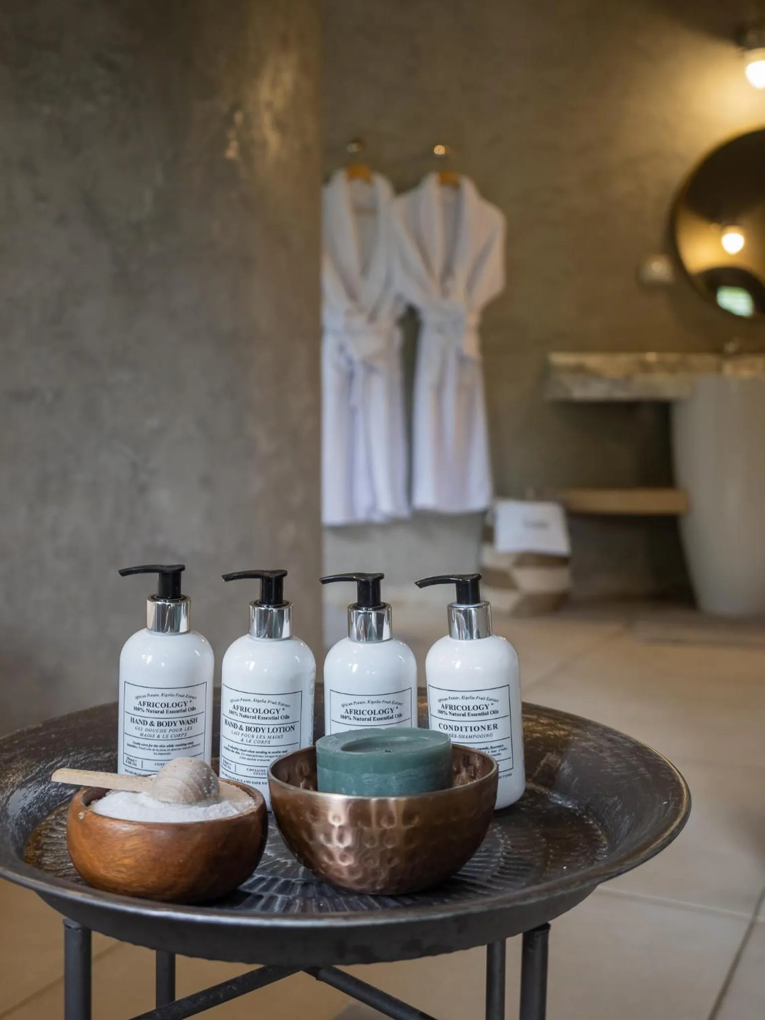 Toilet in Lush Private Game Lodge