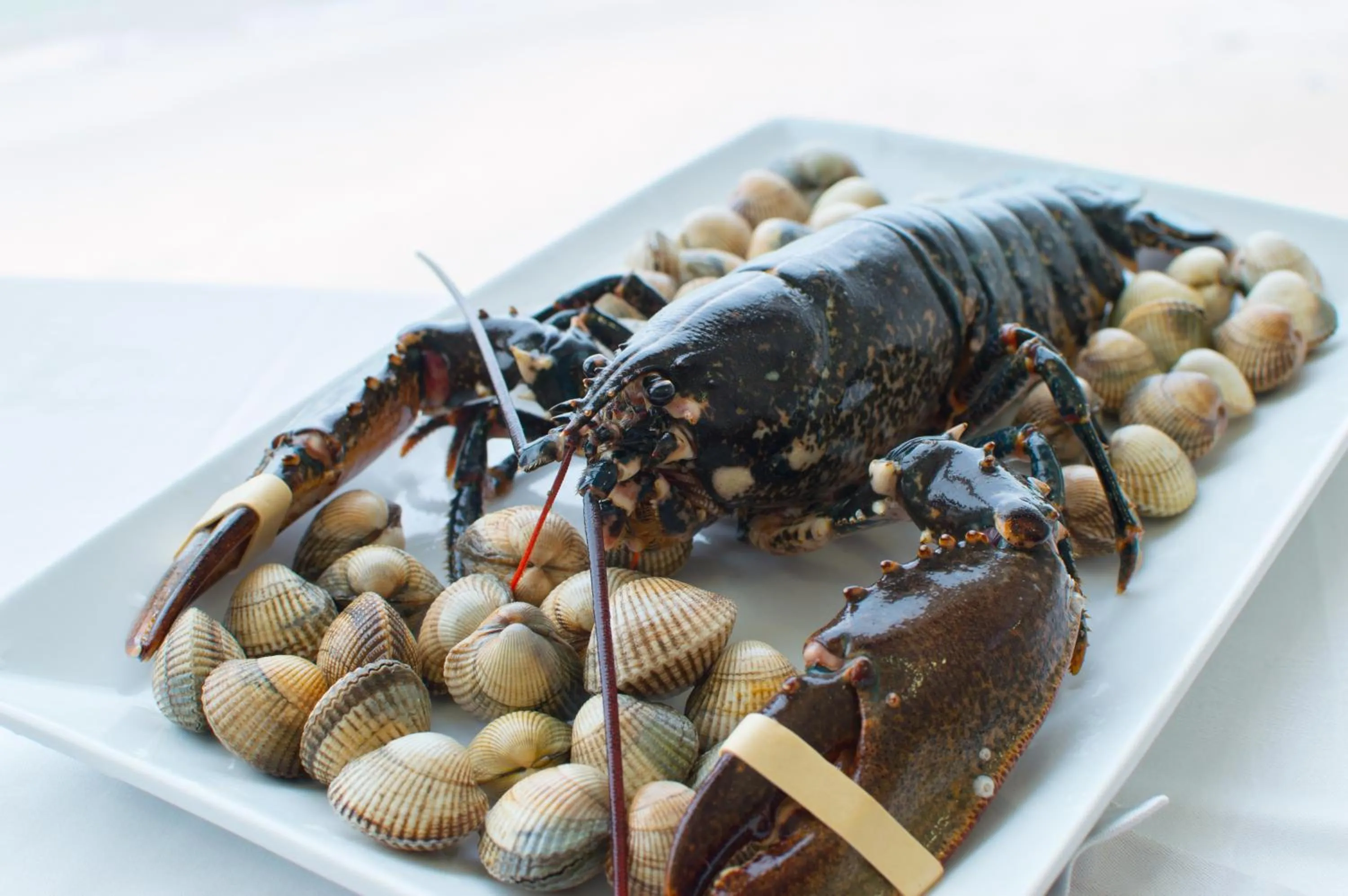 Food in Hotel Restaurante Loureiro