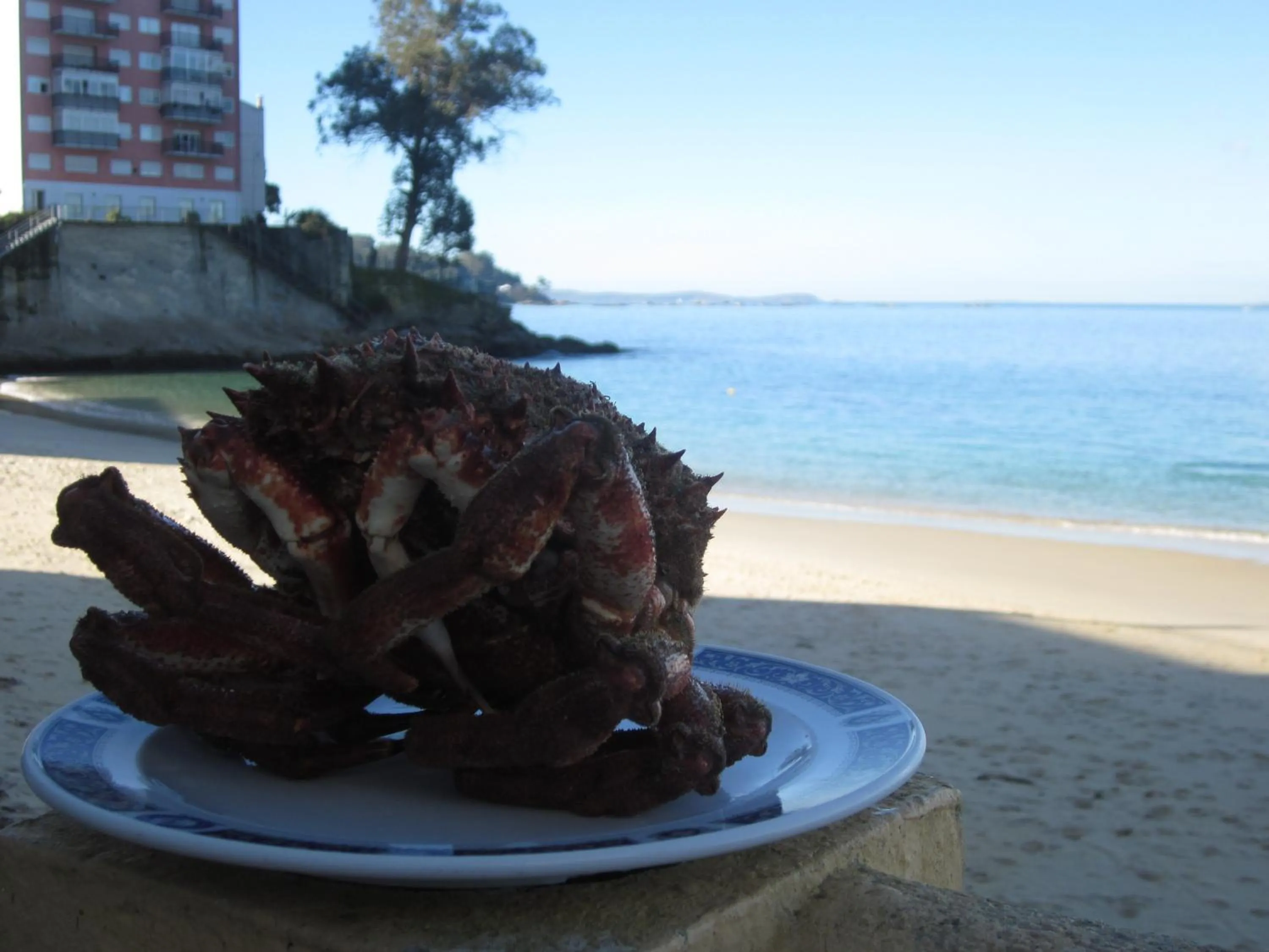 Area and facilities in Hotel Restaurante Loureiro