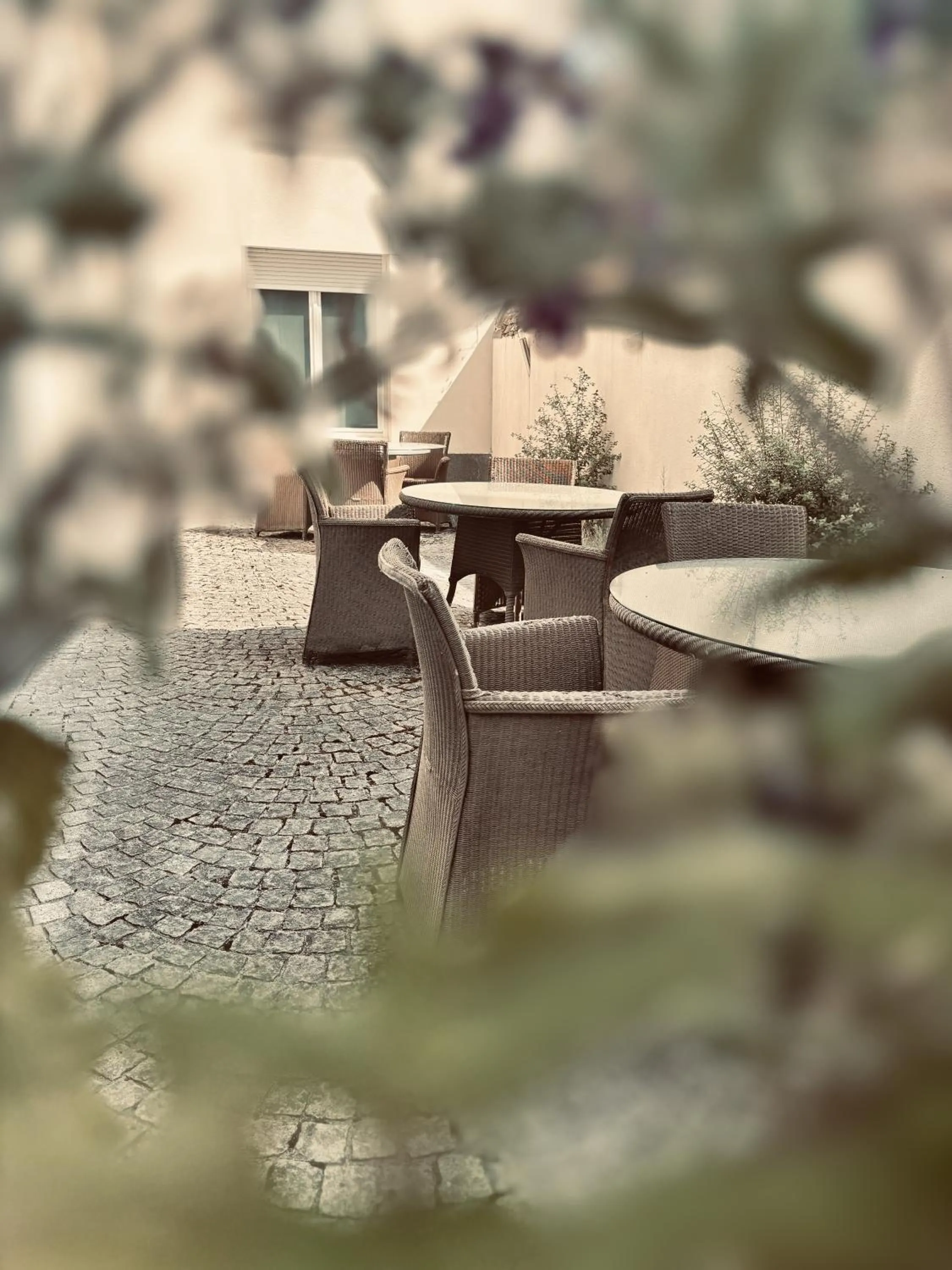 Patio in Logis Hôtel Saint Martin