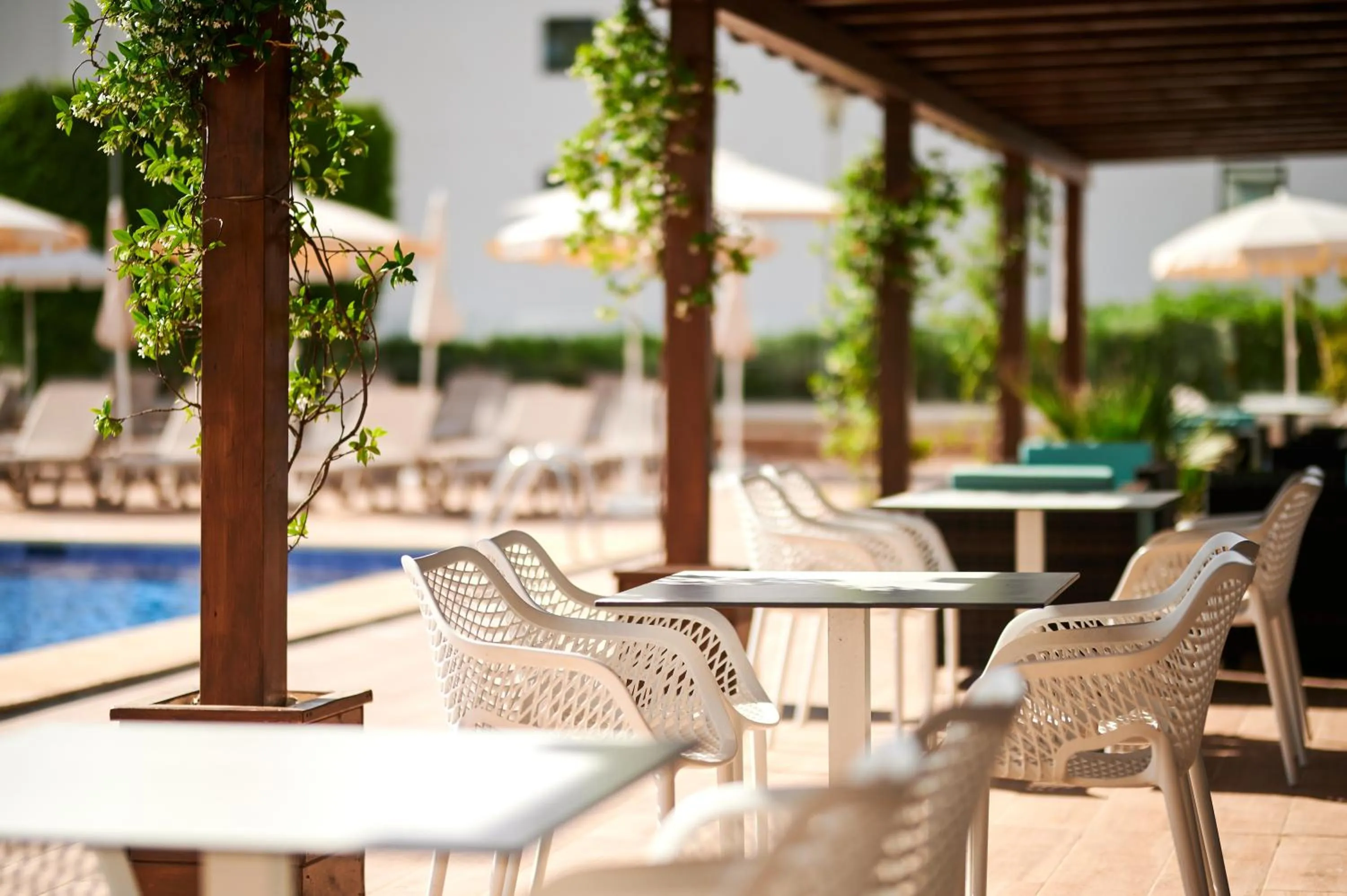 Restaurant/places to eat in AluaSun Continental Park Hotel & Apartments