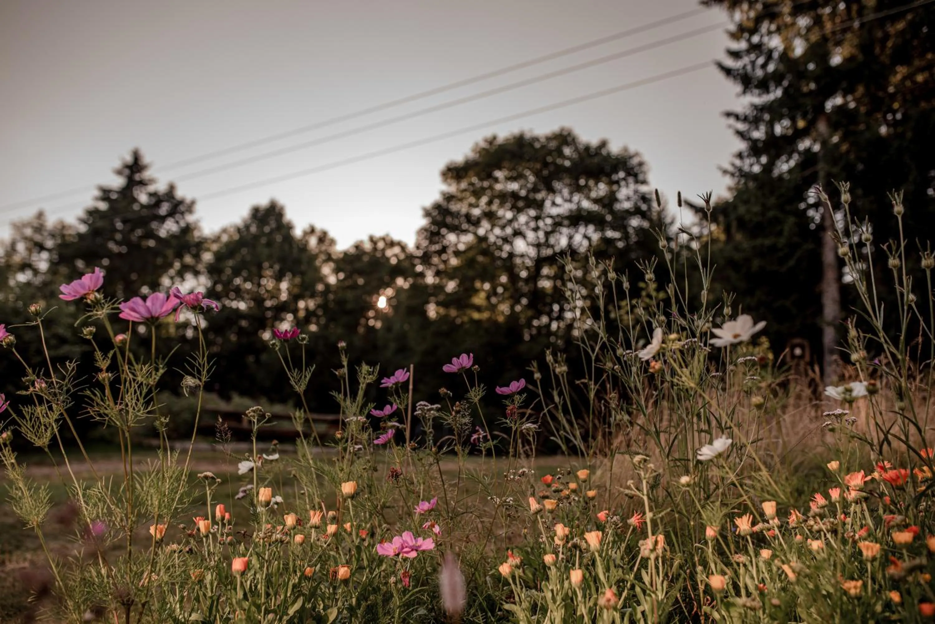 Garden in Pension Styl