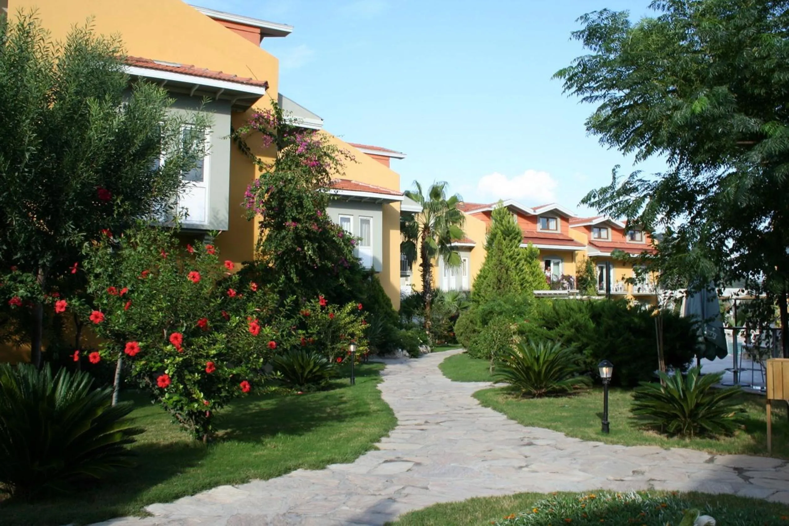 Garden in Club Alla Turca