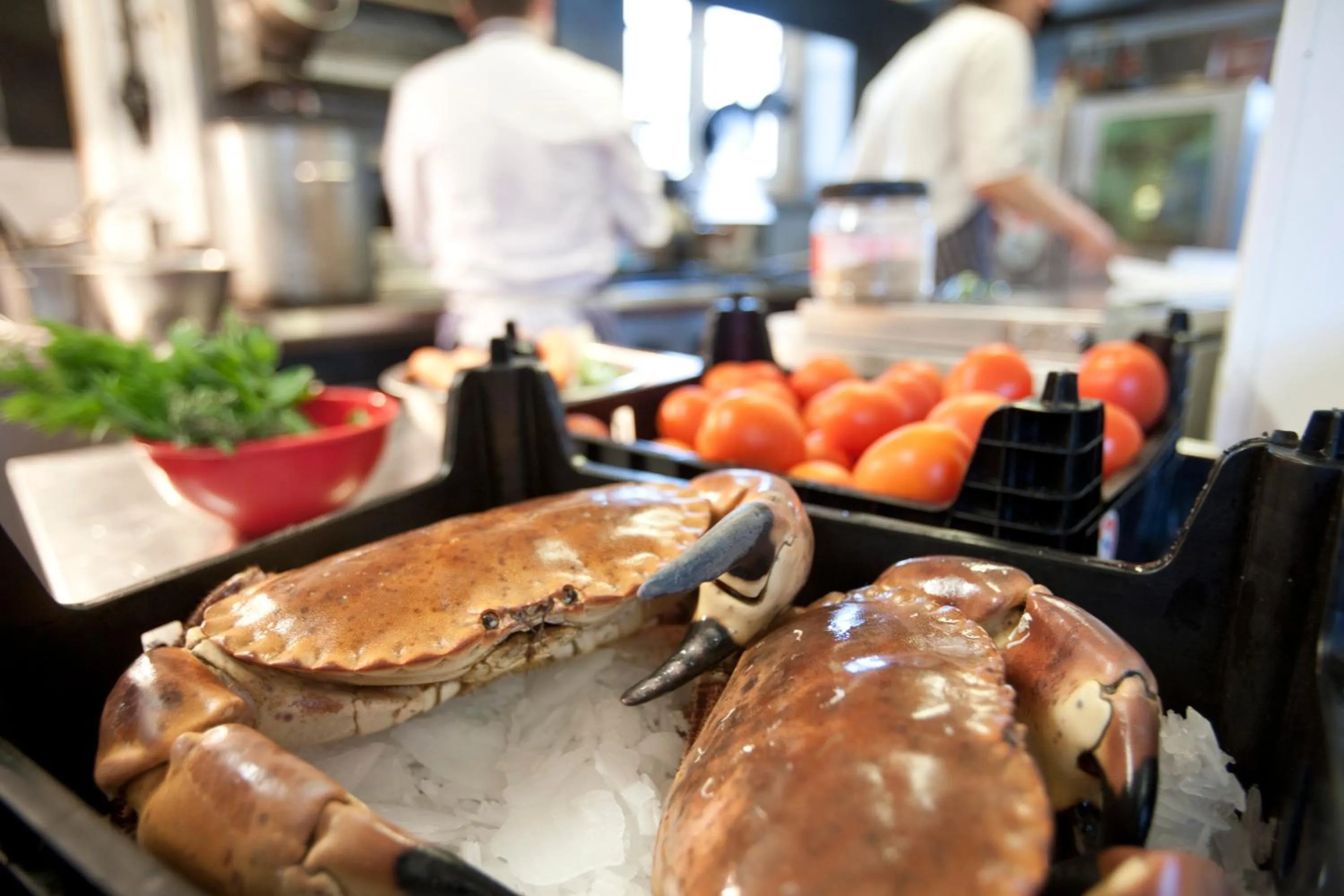 Food close-up in Devonshire Arms