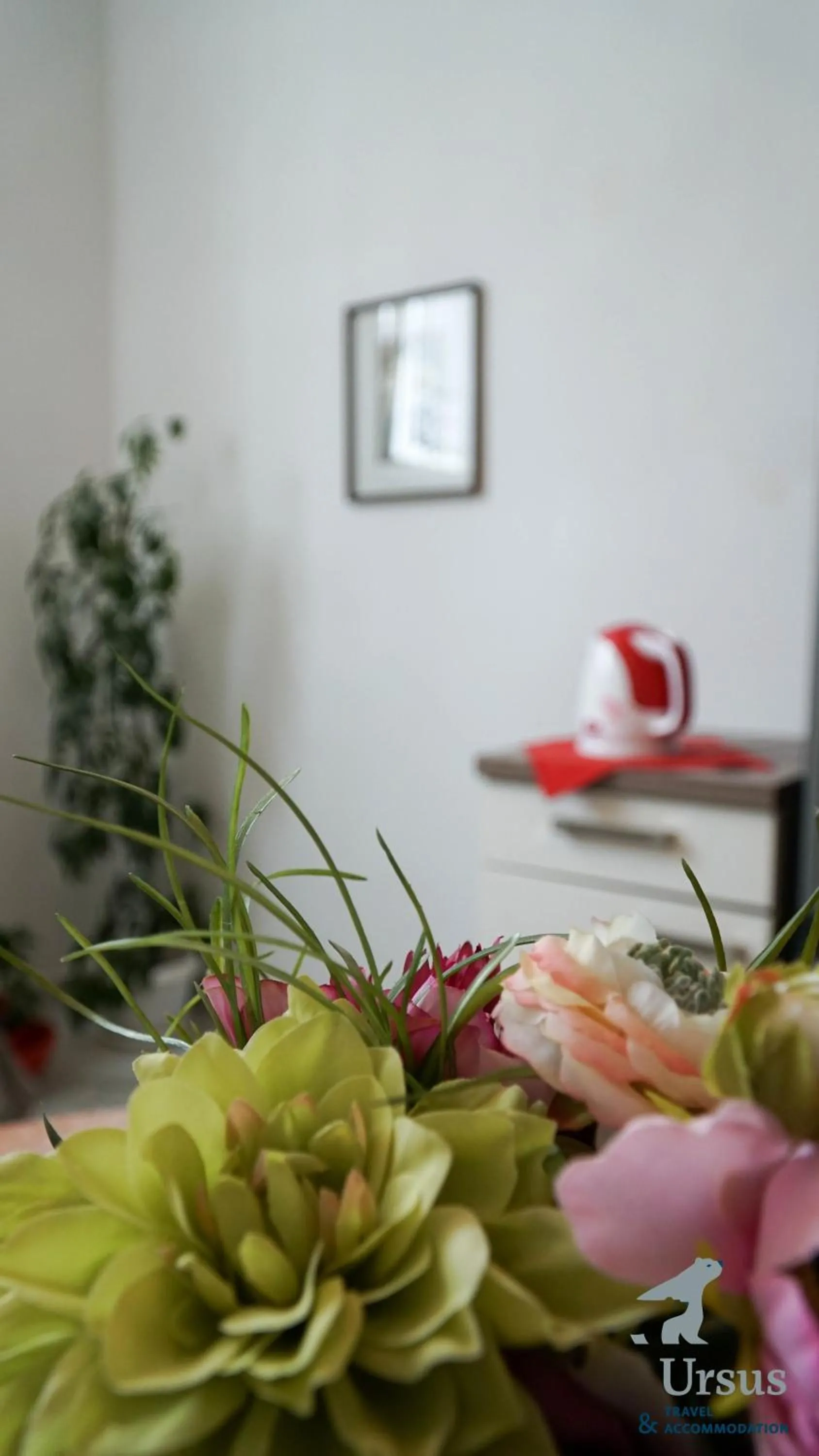 kitchen in Duplex Apartment Tinel
