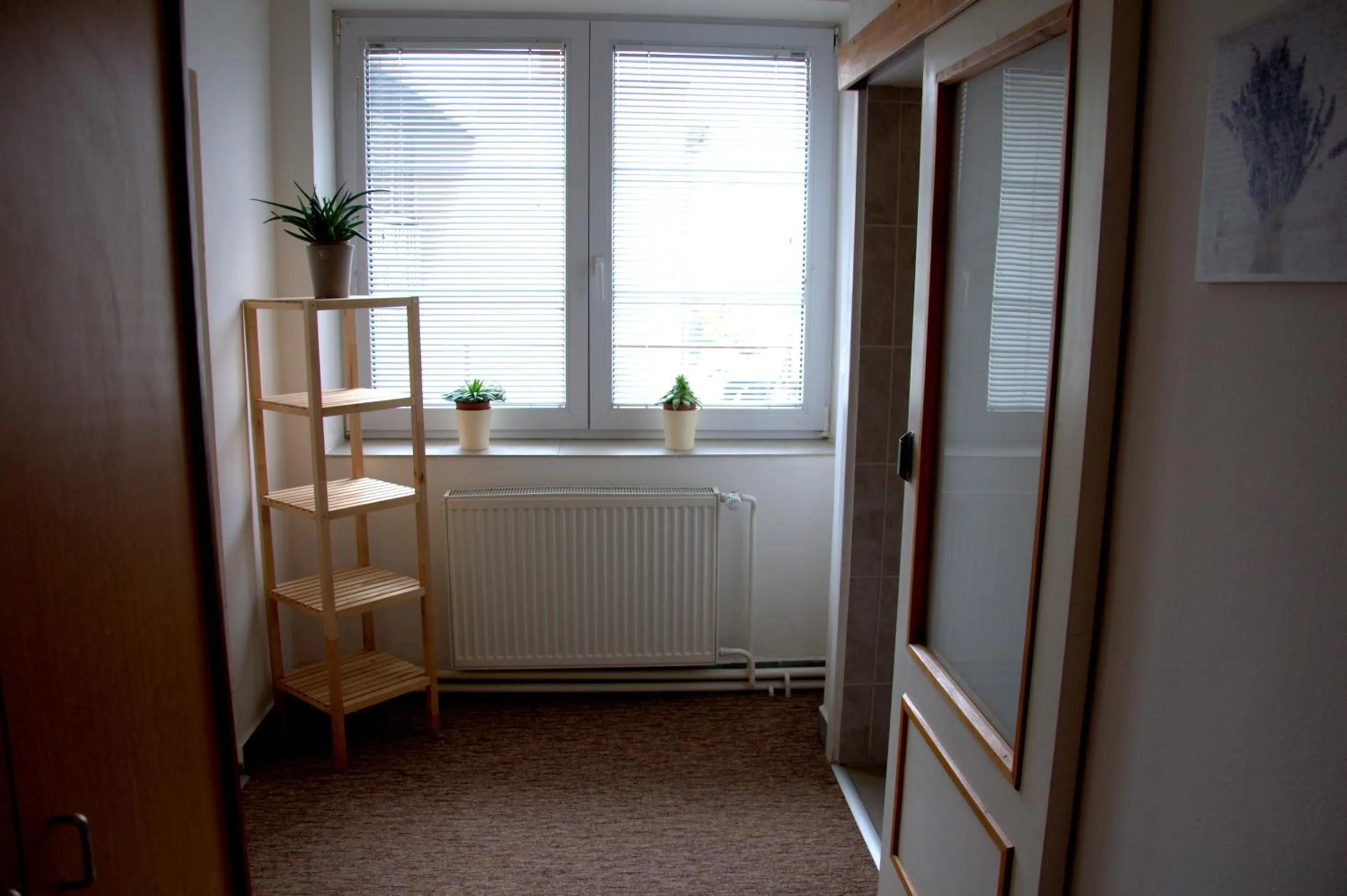 Area and facilities in Hotel Gregor