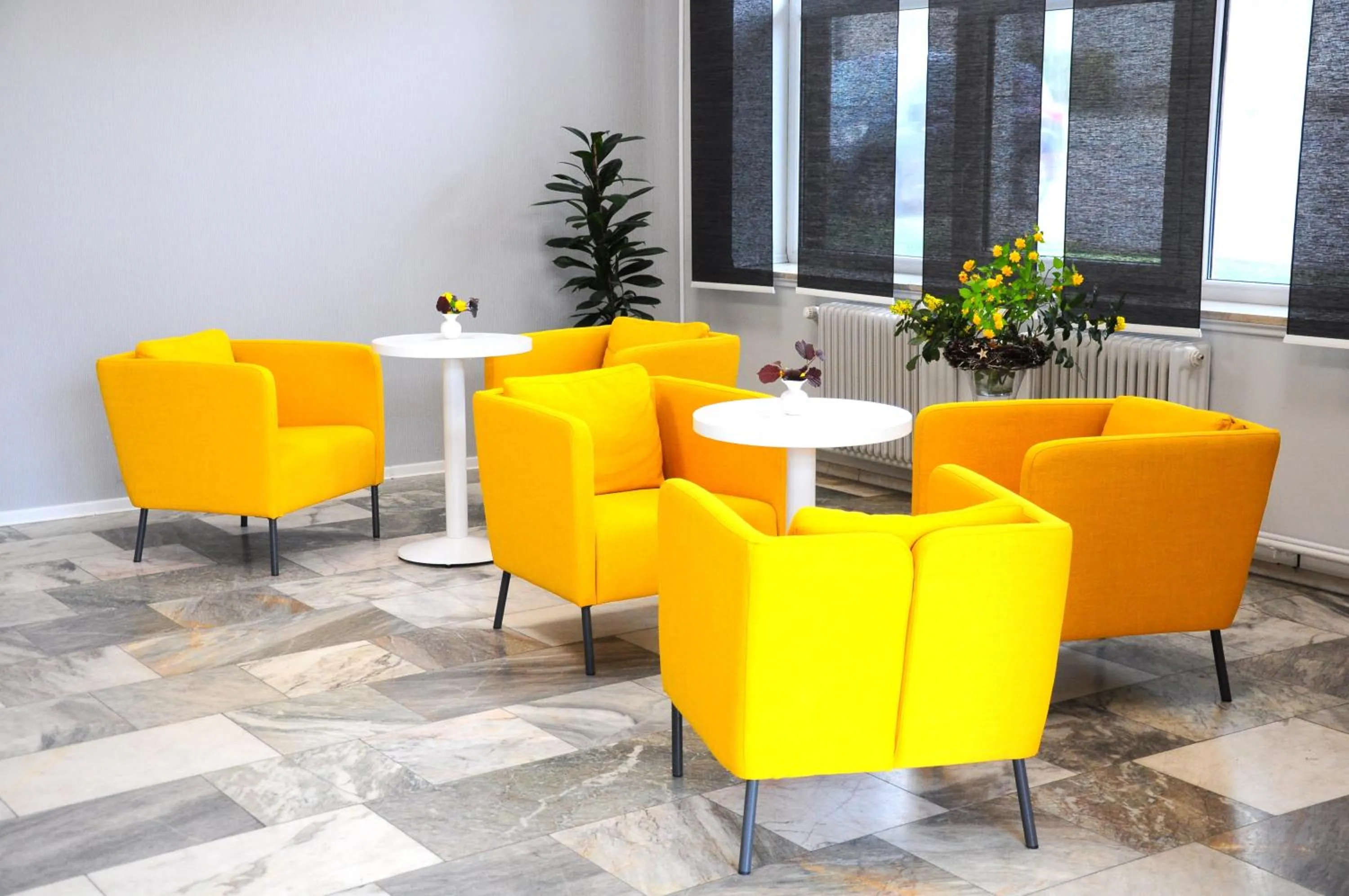 Area and facilities in Hotel Gregor