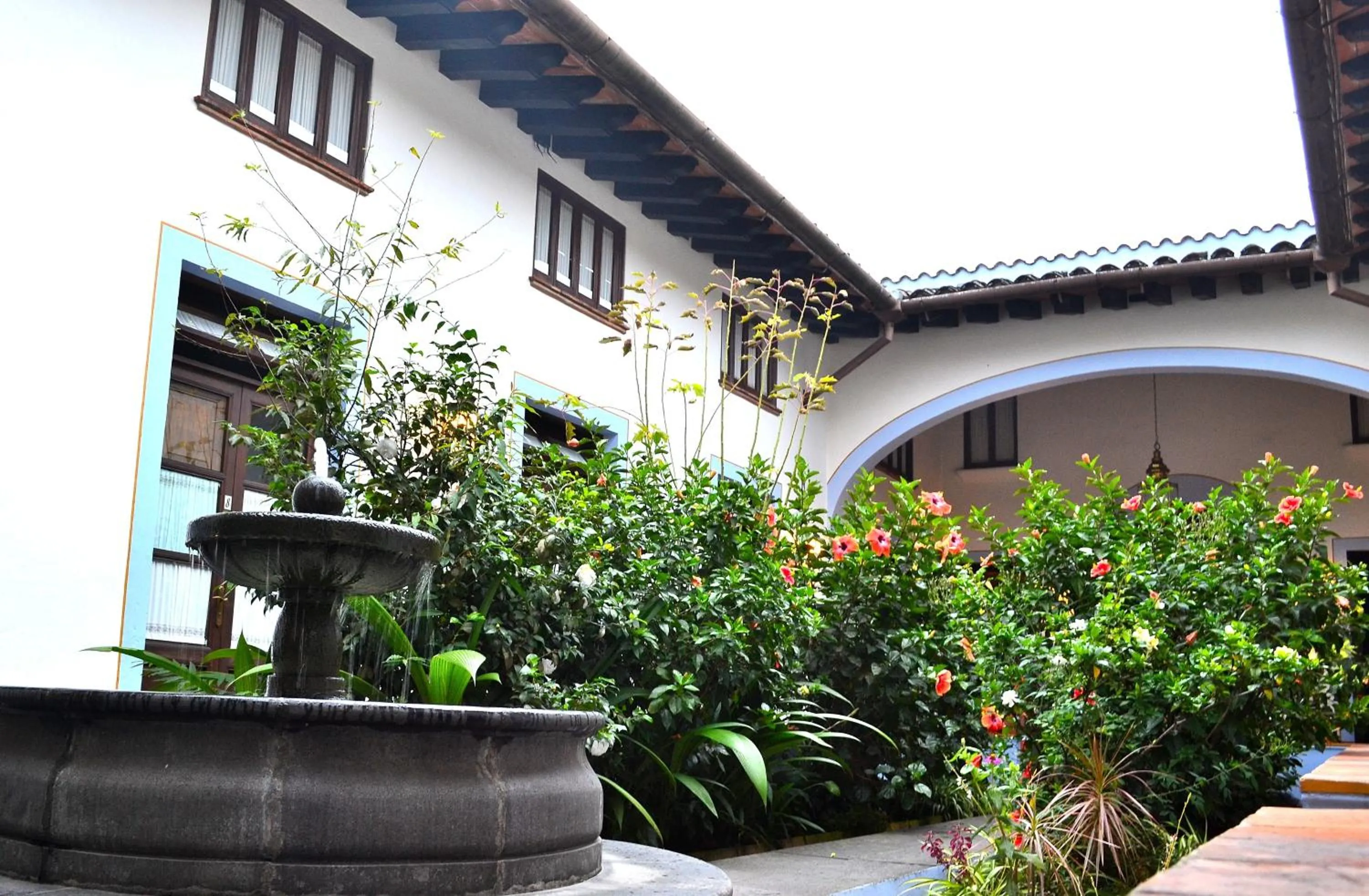 Garden in Meson del Alferez Coatepec