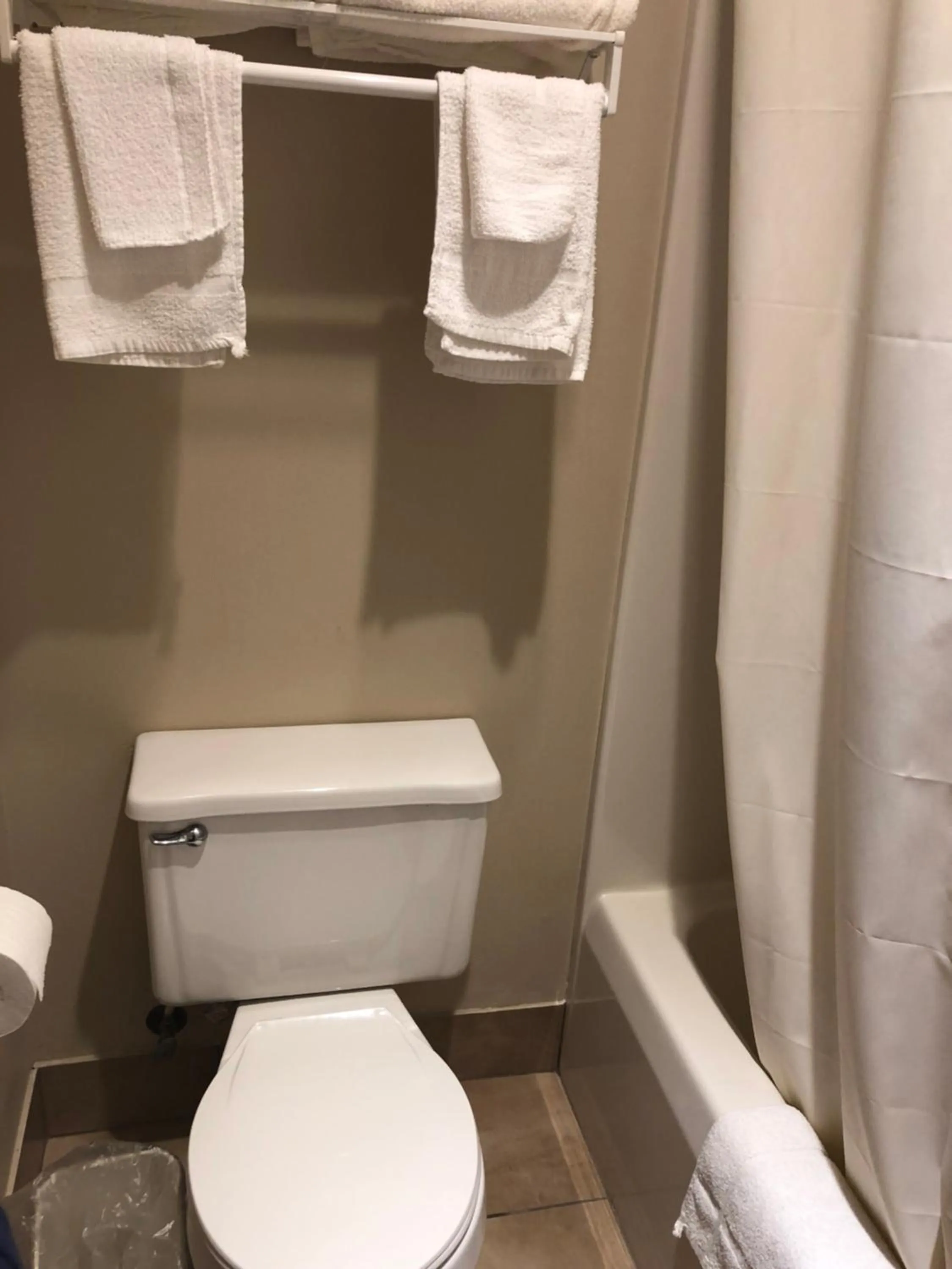 Toilet in Econo Lodge Lake Mills