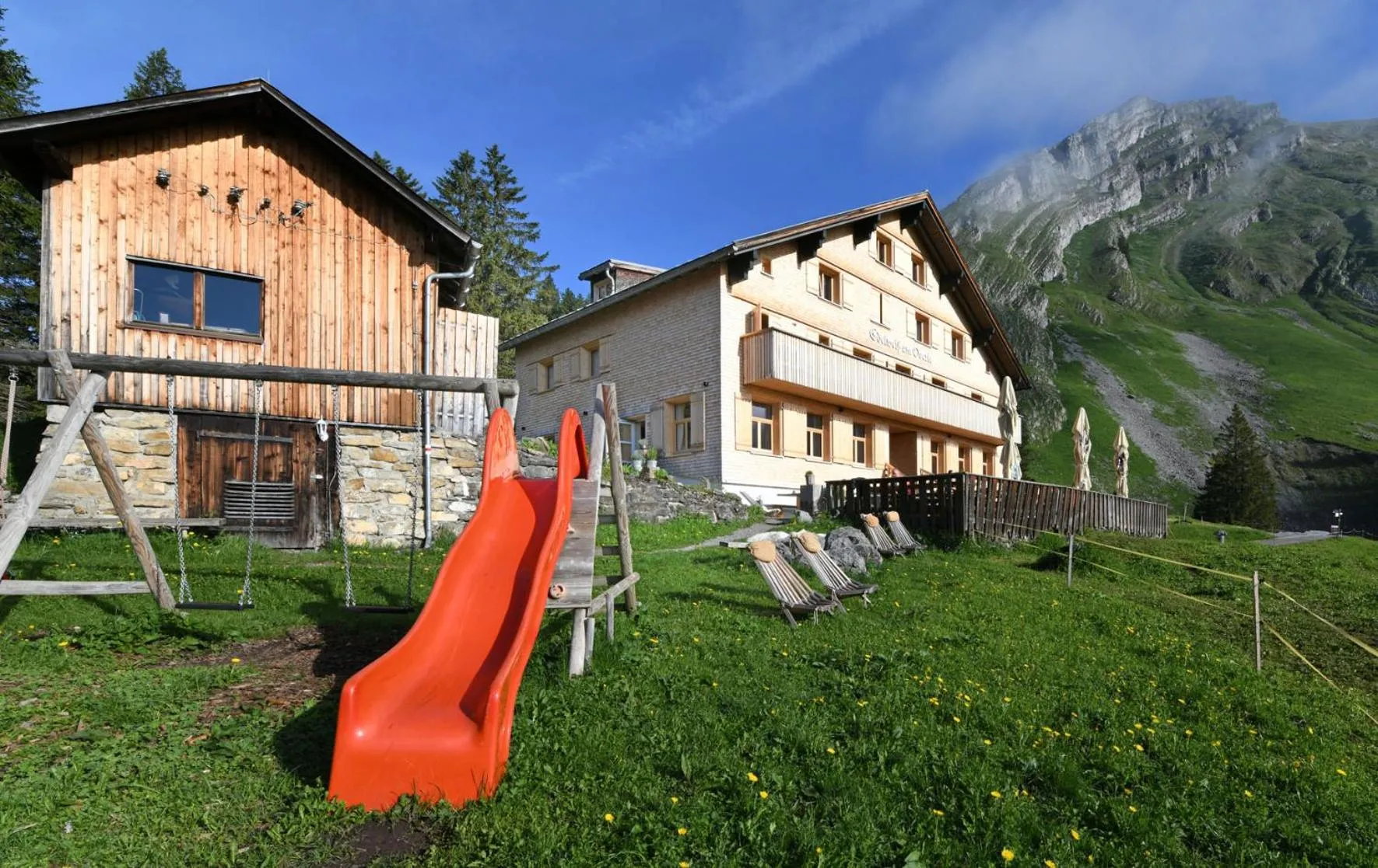 Edelweiß am Öberle