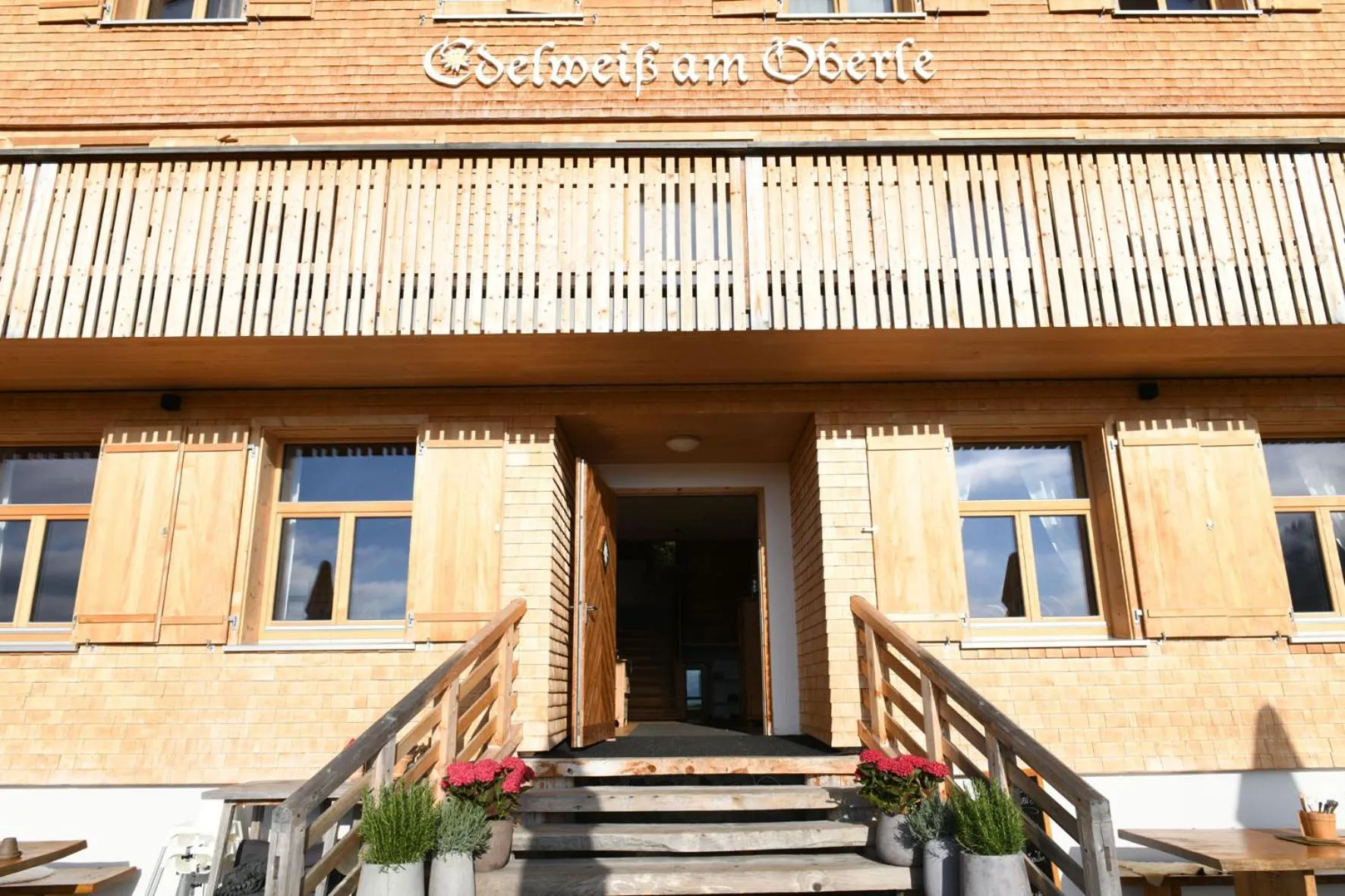 Edelweiß am Öberle