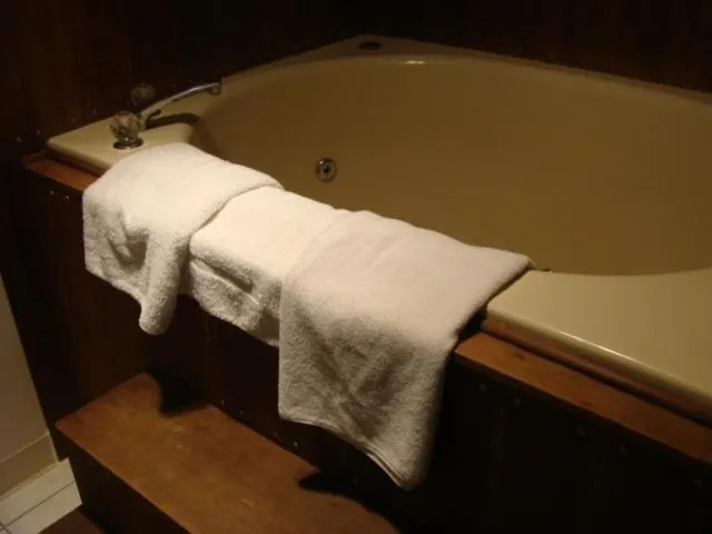 Bathroom in USA Inns of America