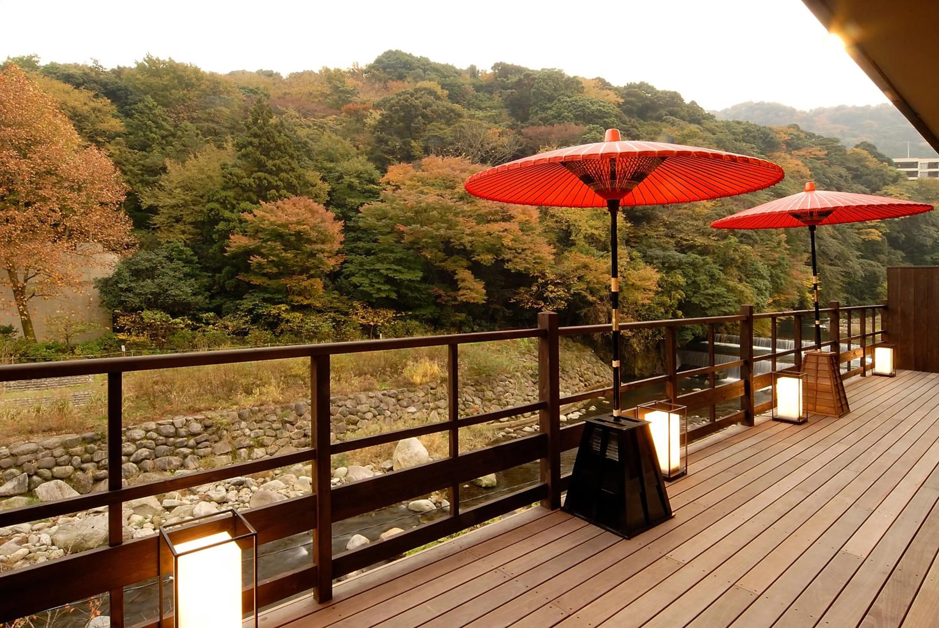 Natural landscape in Hakone Suimeisou