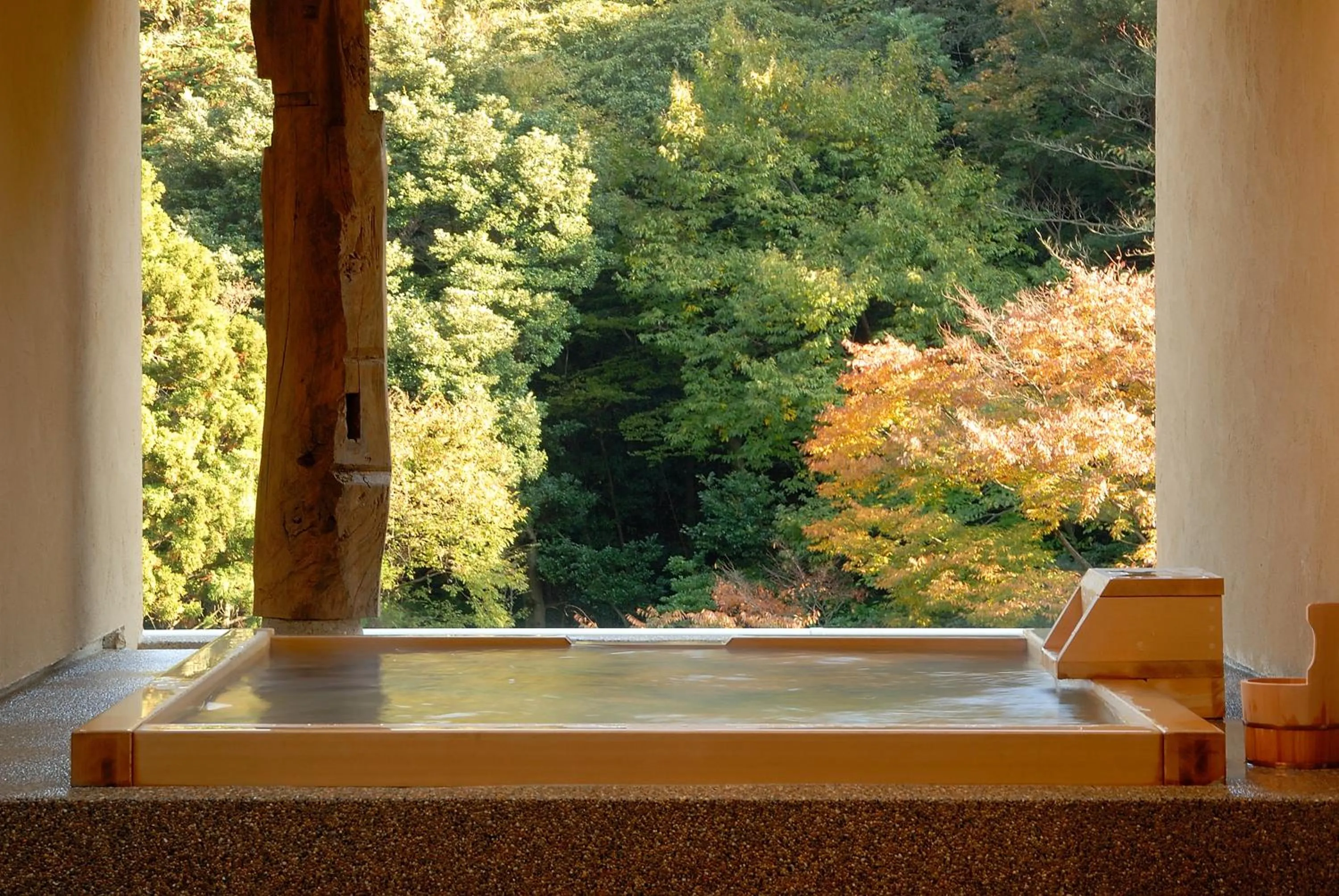 Hot Spring Bath in Hakone Suimeisou