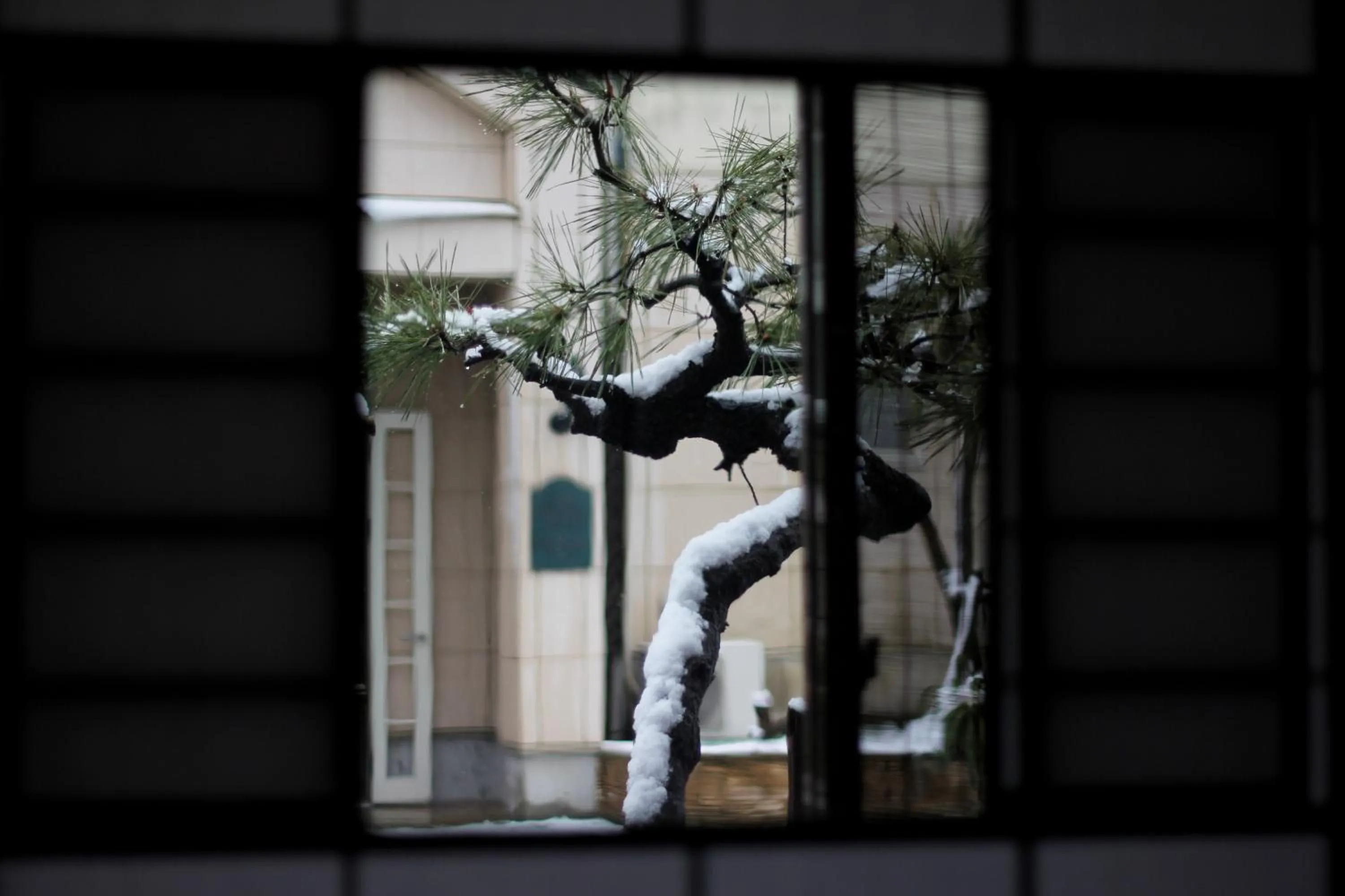 Winter in Guest House Kamejikan -turtle time-